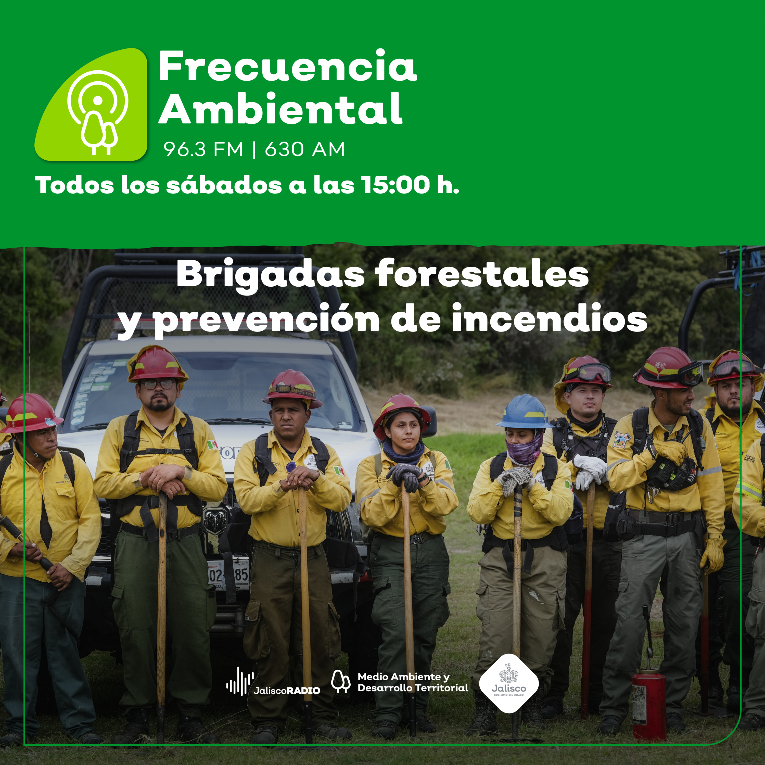 Frecuencia Ambiental