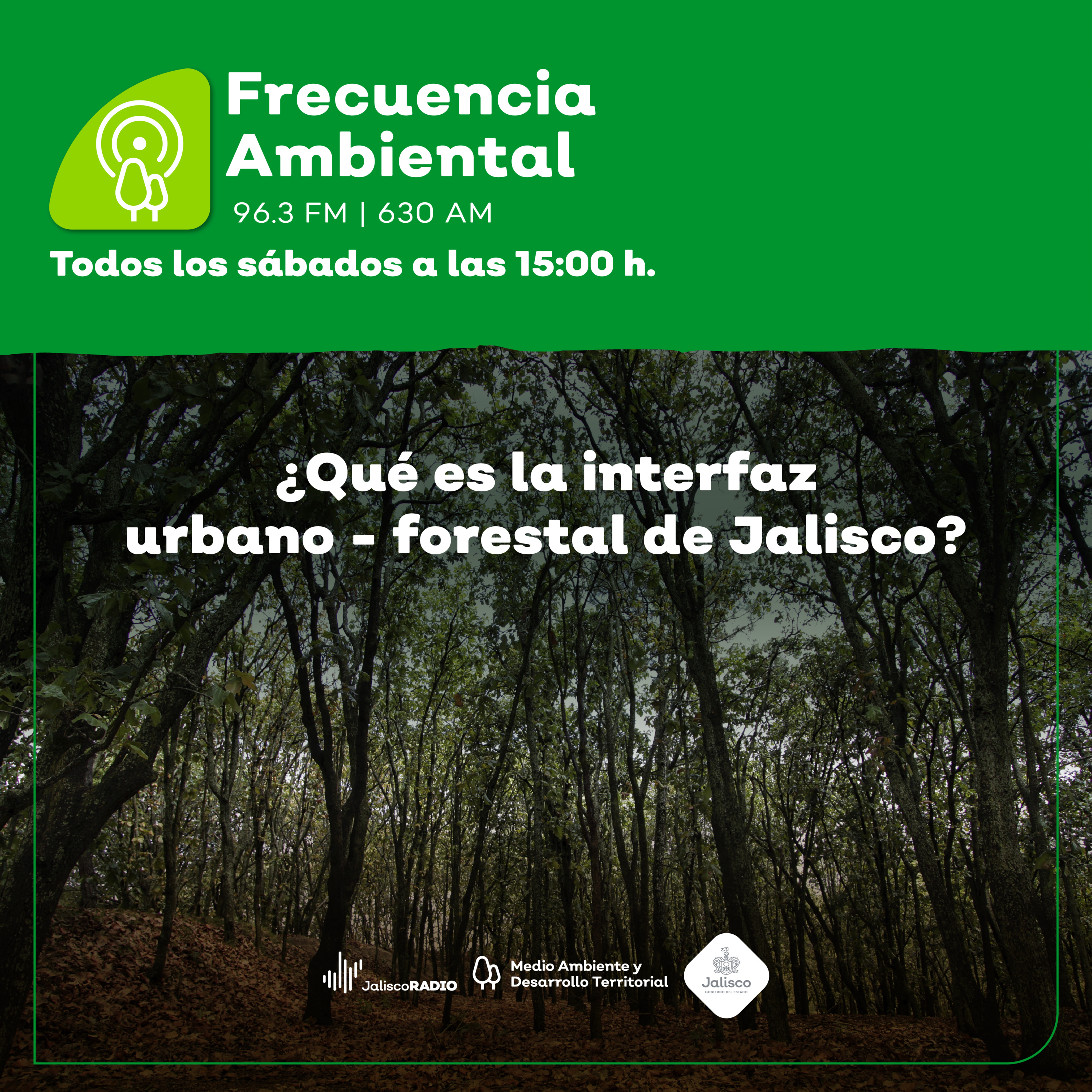 Frecuencia Ambiental
