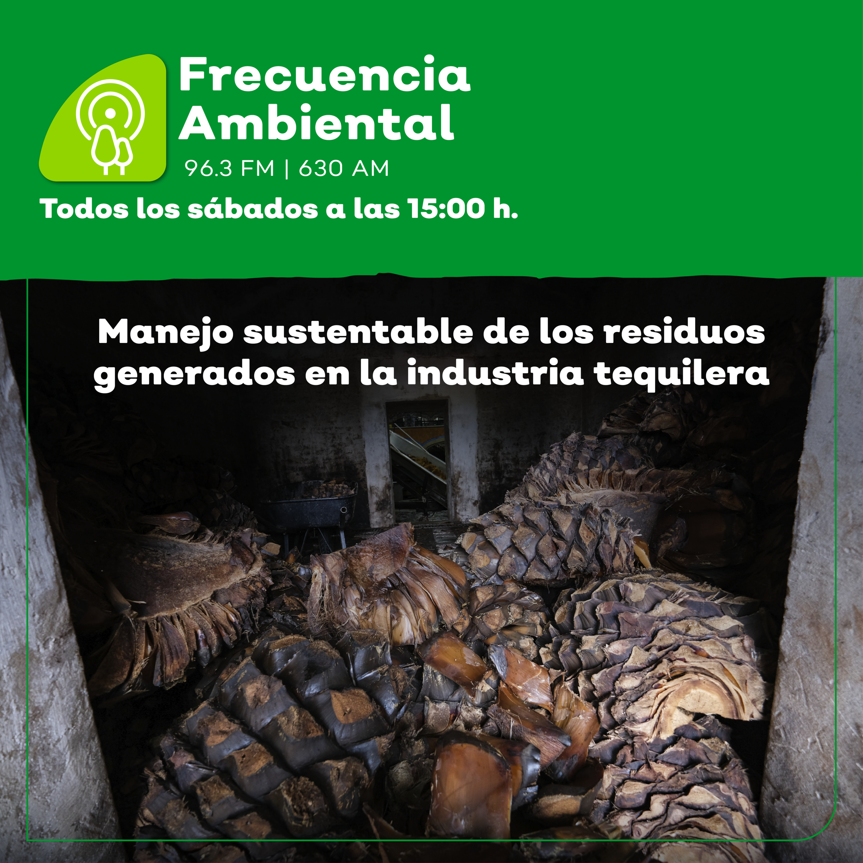 Frecuencia Ambiental