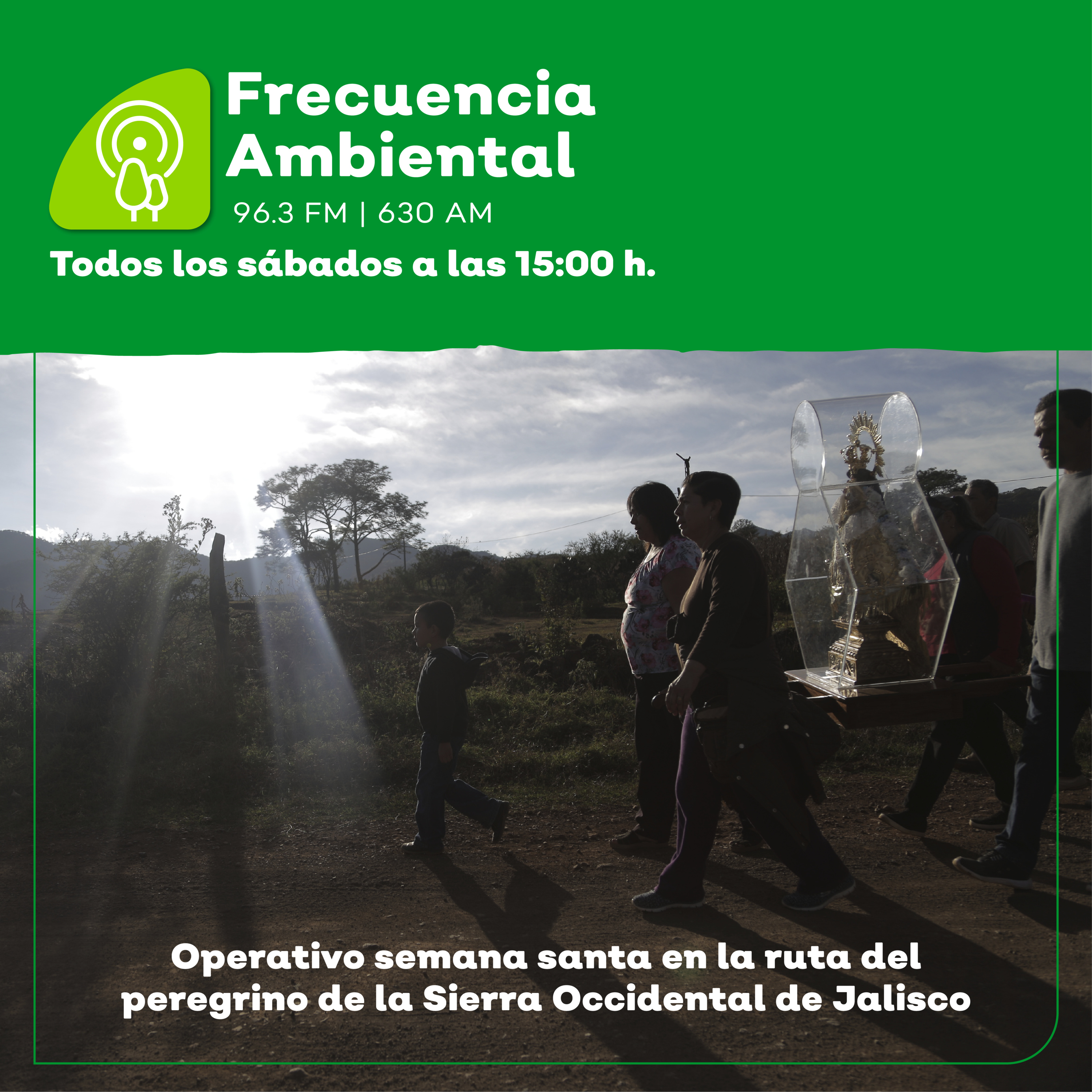 Frecuencia Ambiental