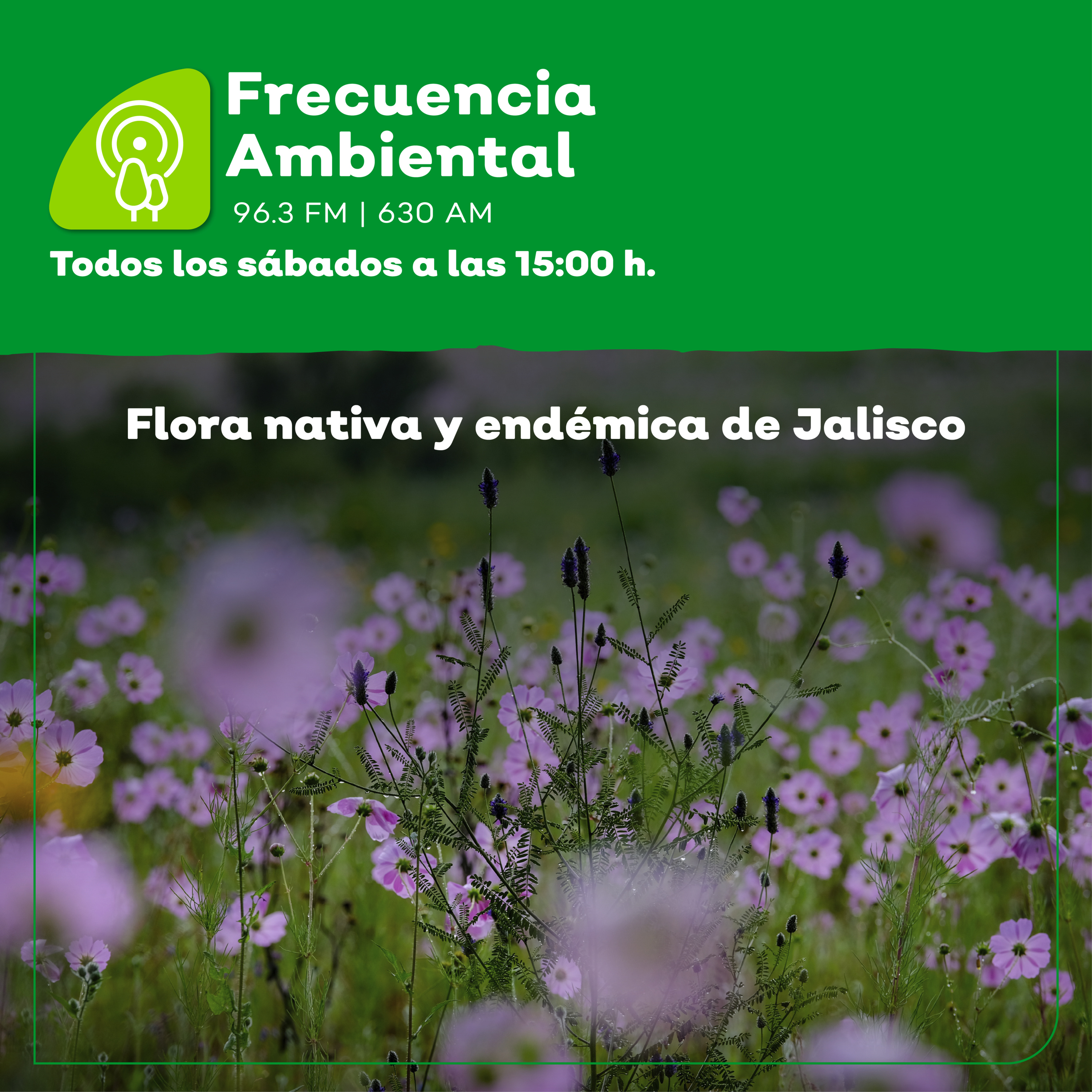 Frecuencia Ambiental