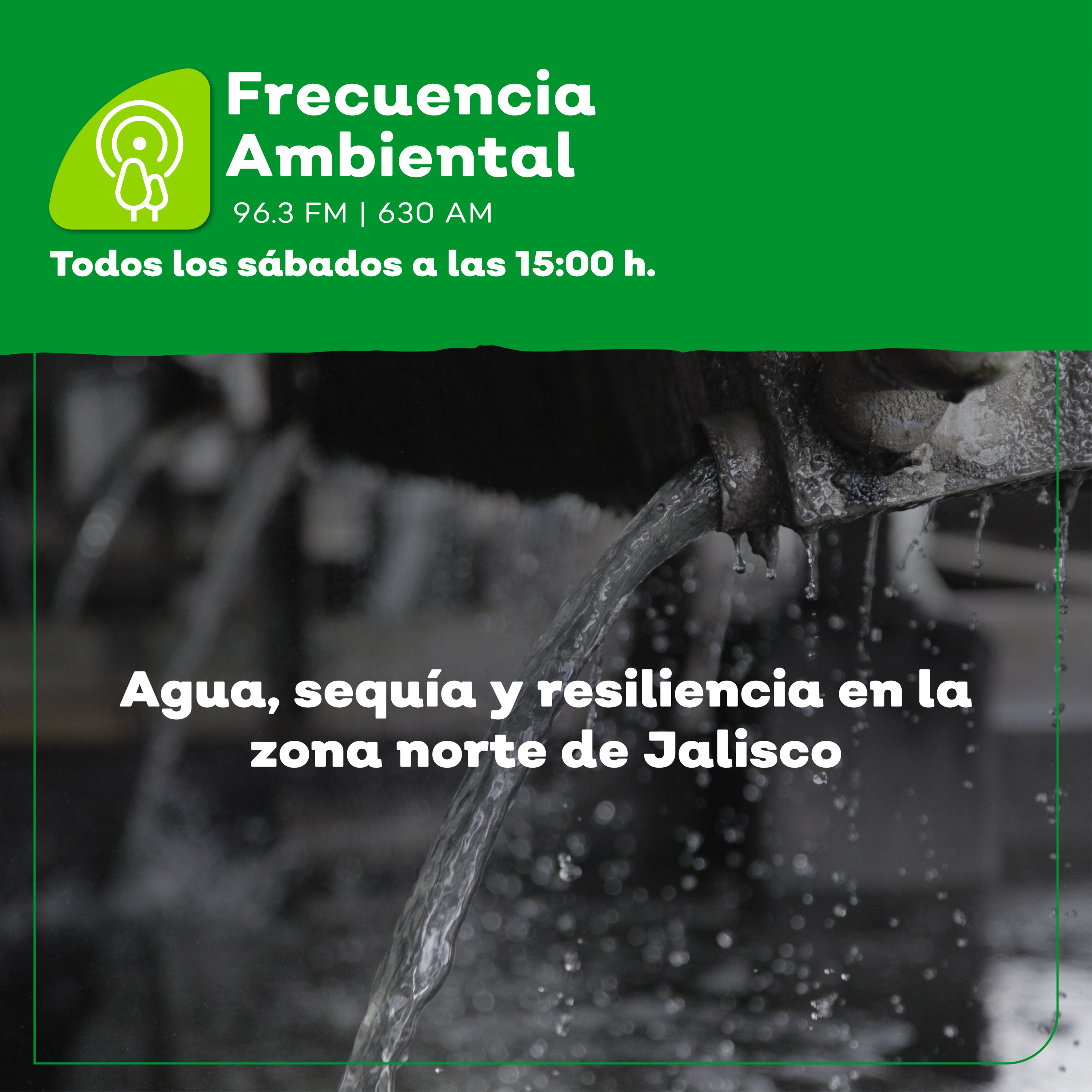 Frecuencia Ambiental