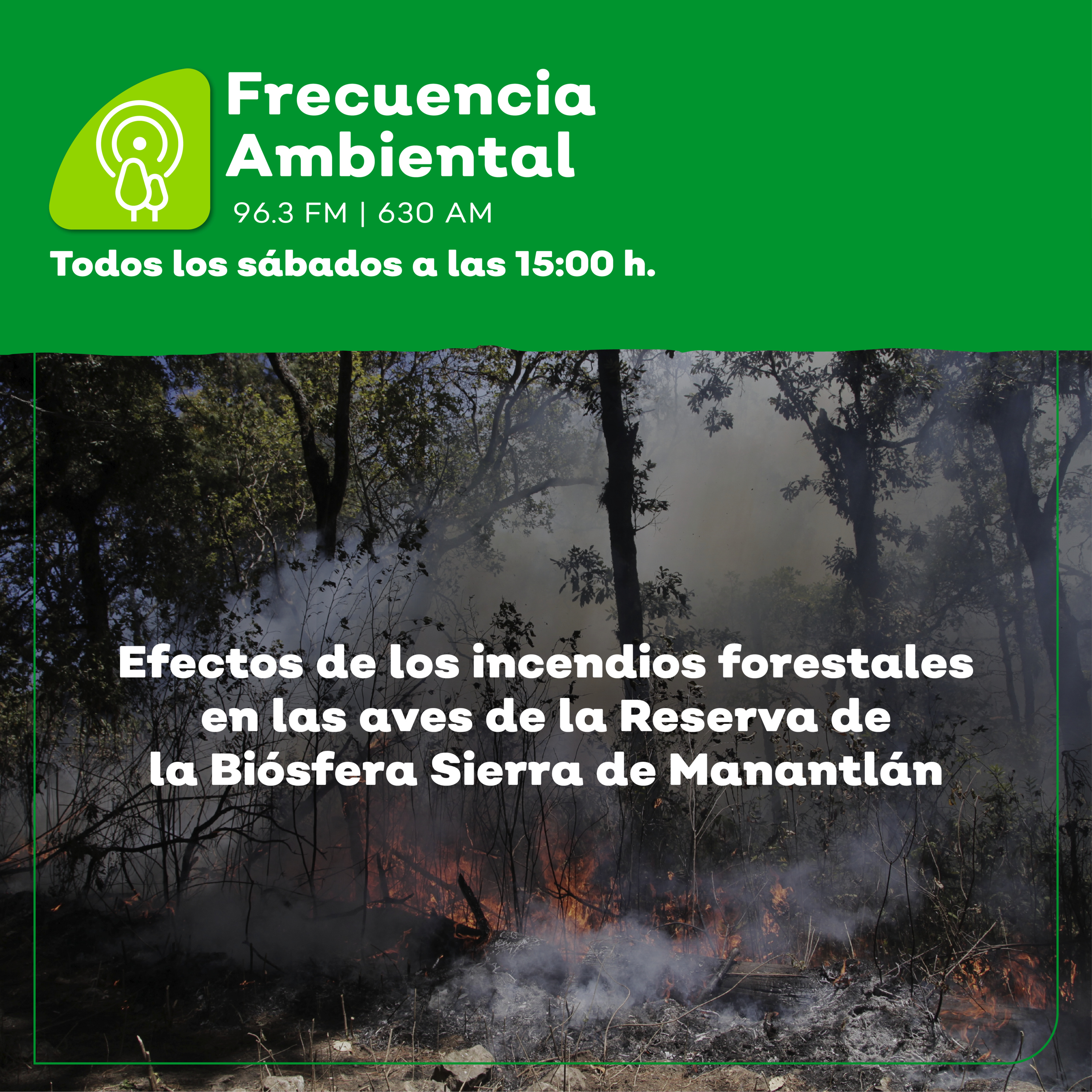 Frecuencia Ambiental