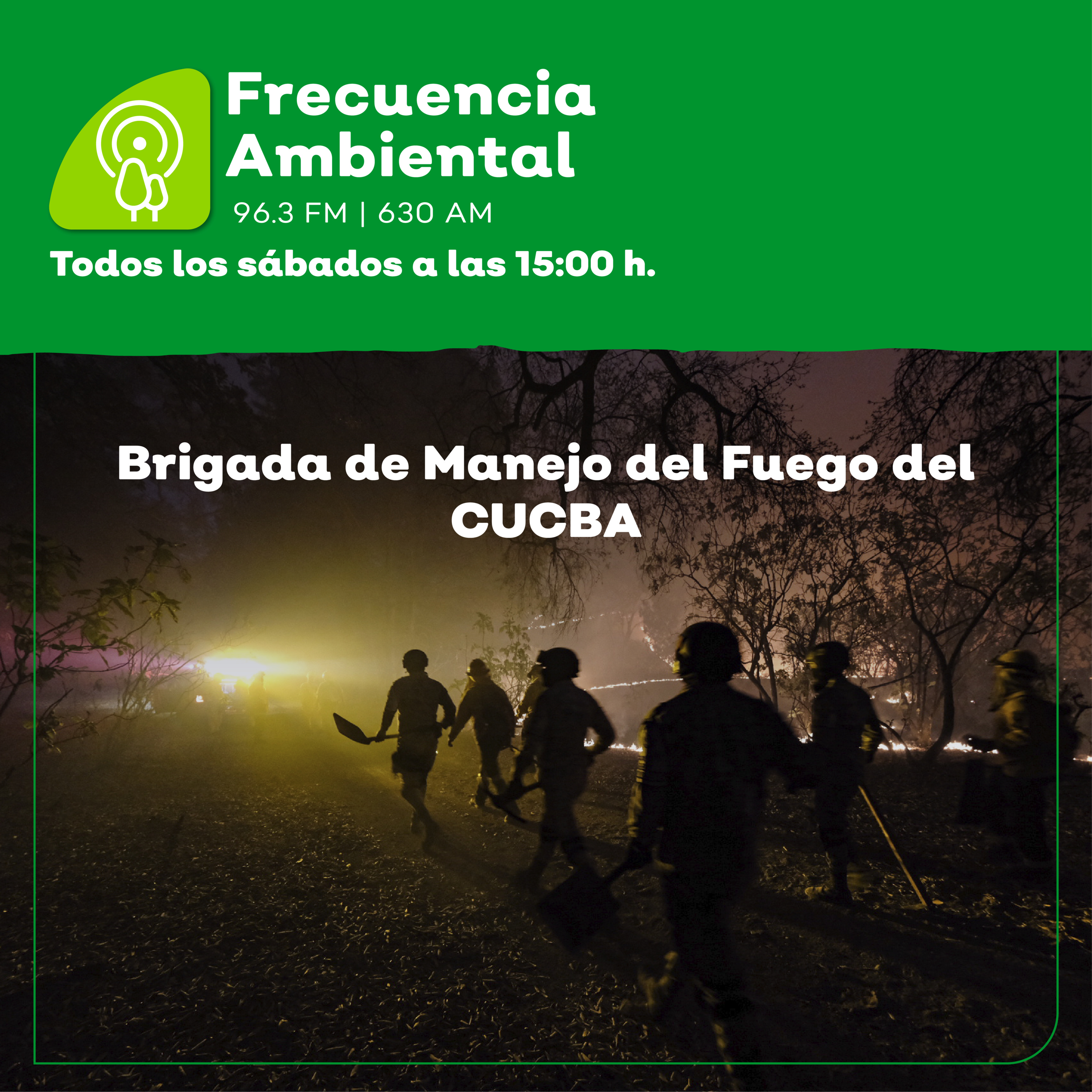 Frecuencia Ambiental