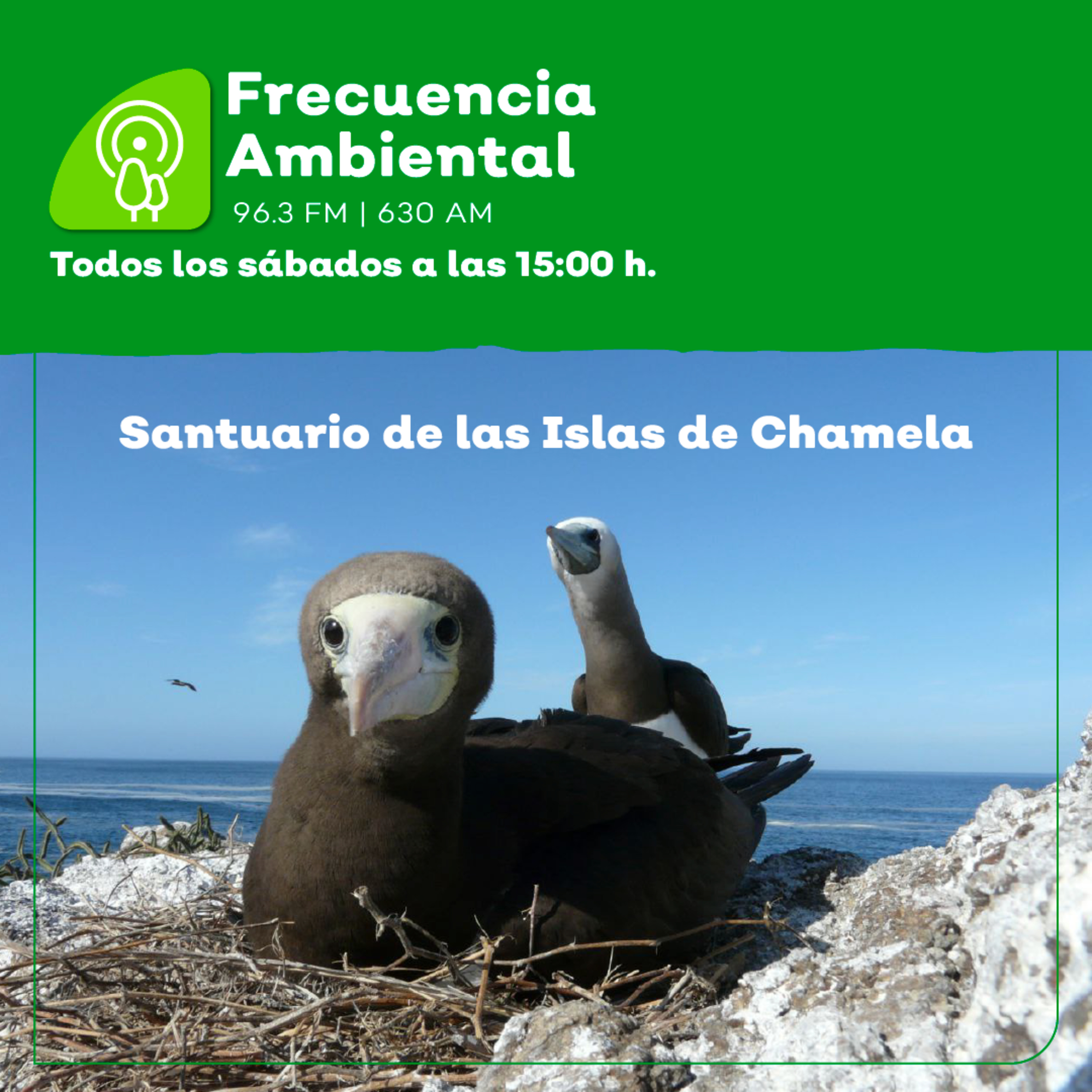 Frecuencia Ambiental