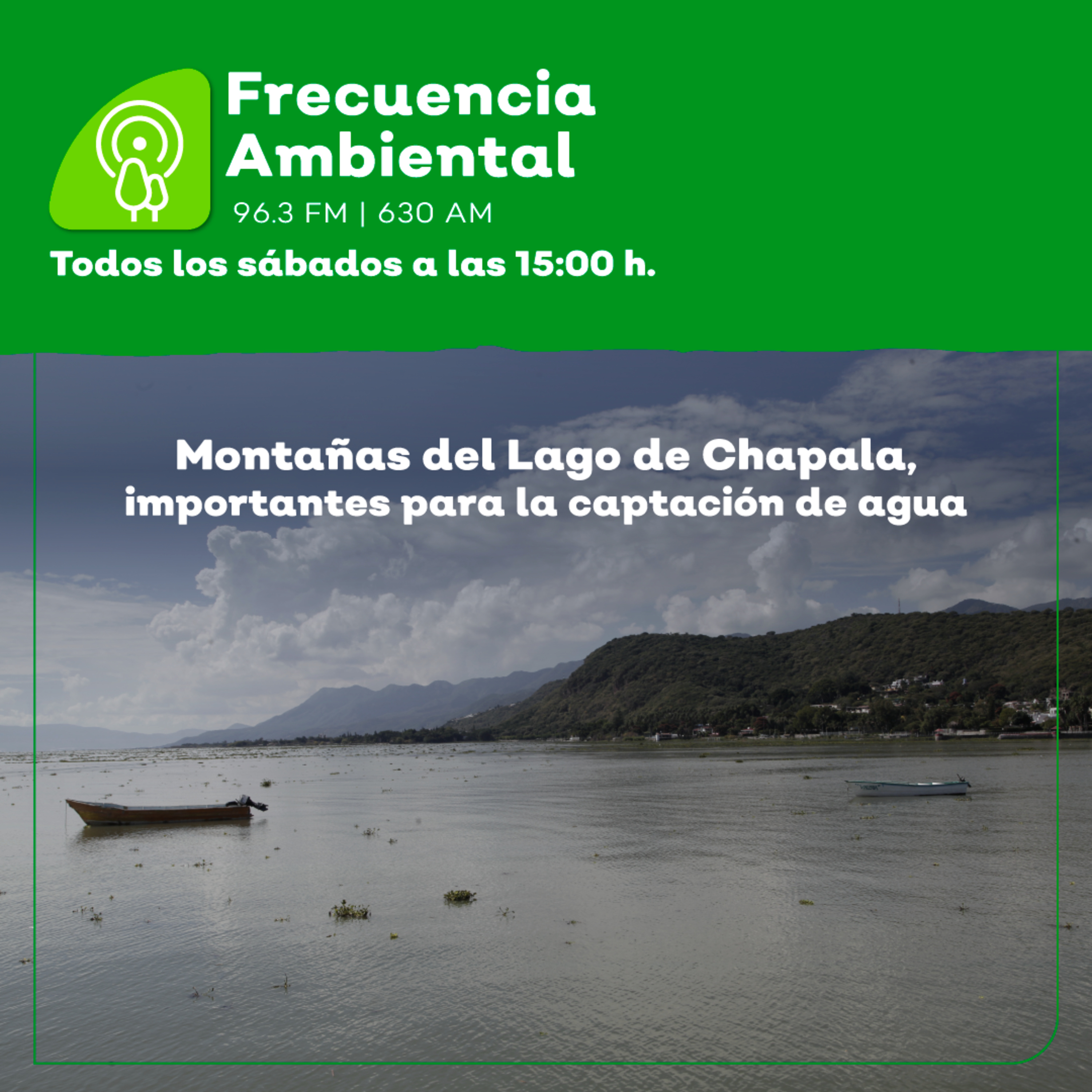 Frecuencia Ambiental