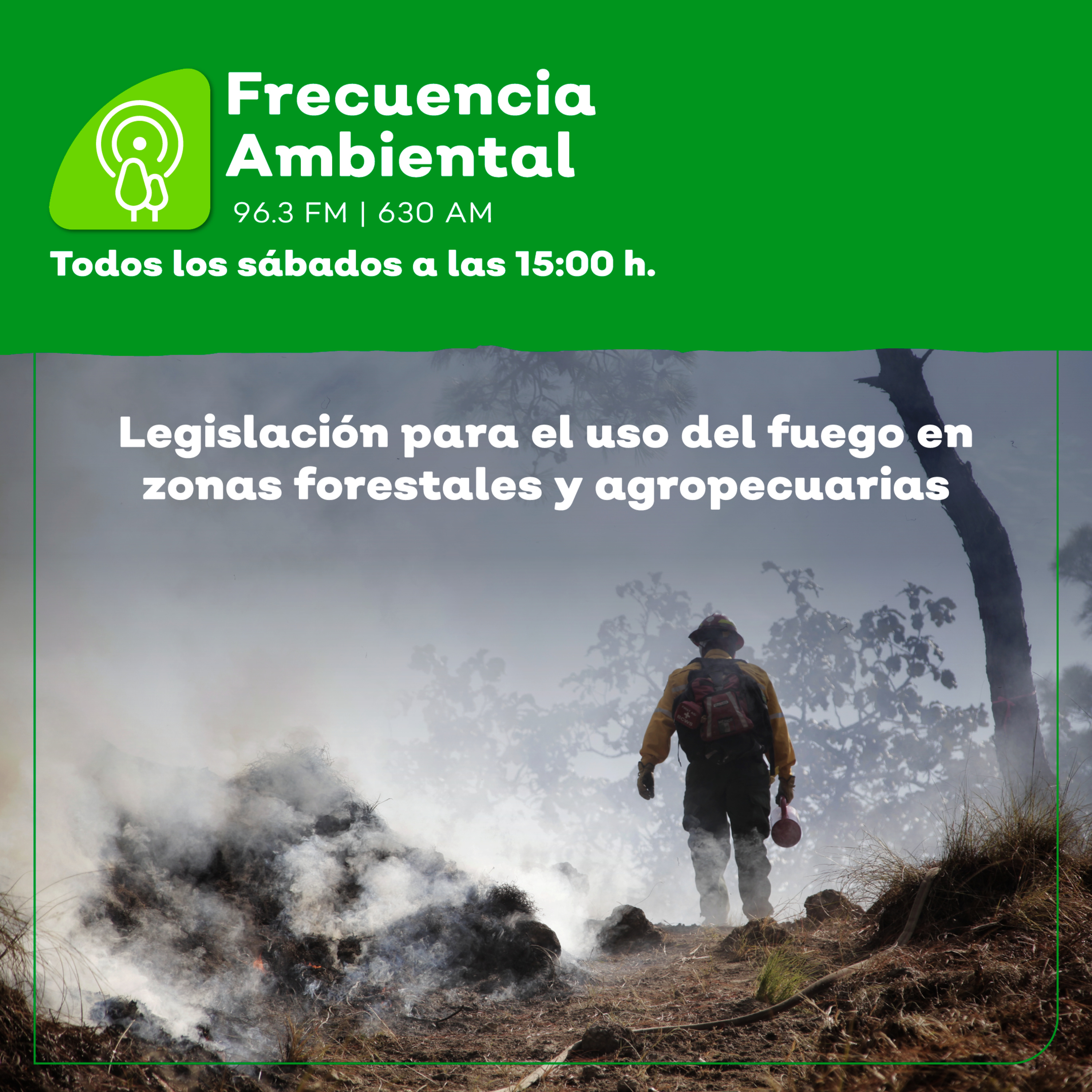 Frecuencia Ambiental