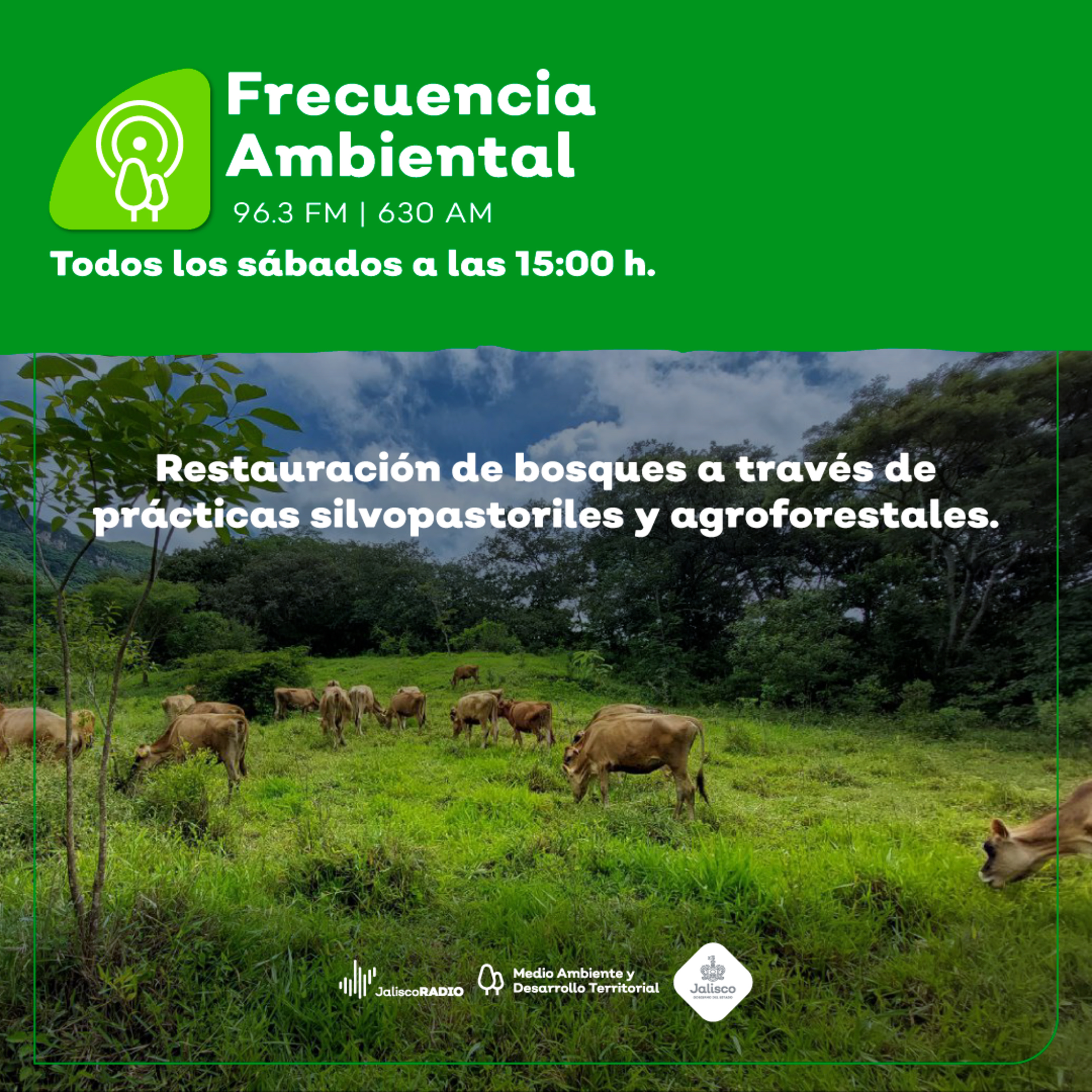 Frecuencia Ambiental