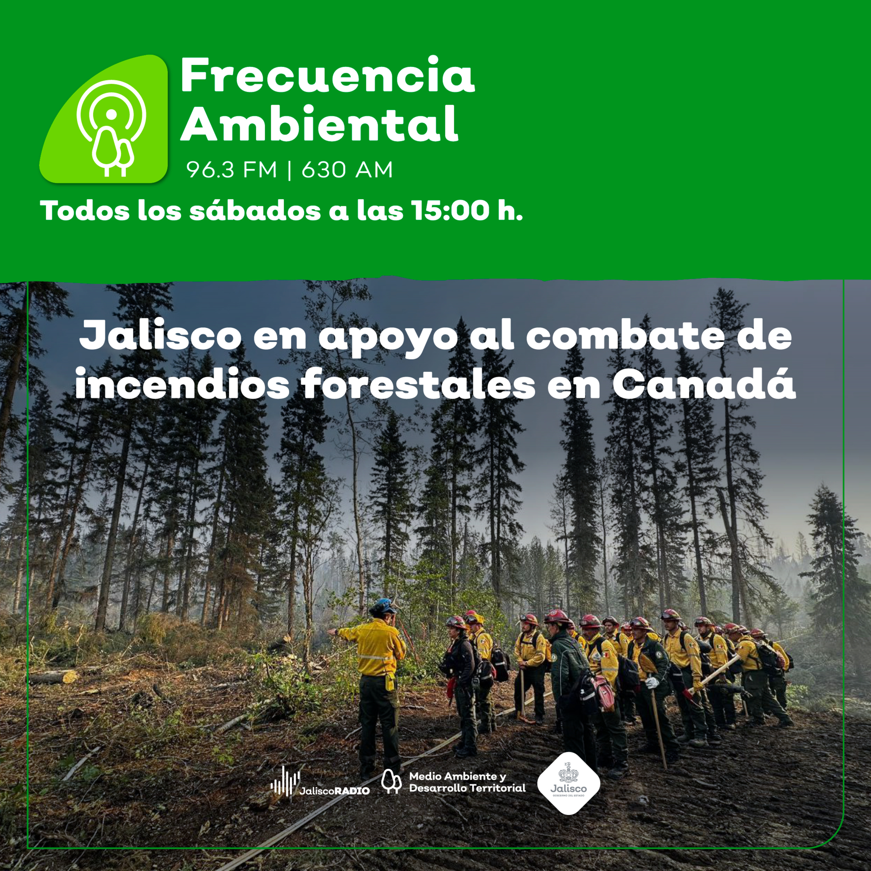 Frecuencia Ambiental
