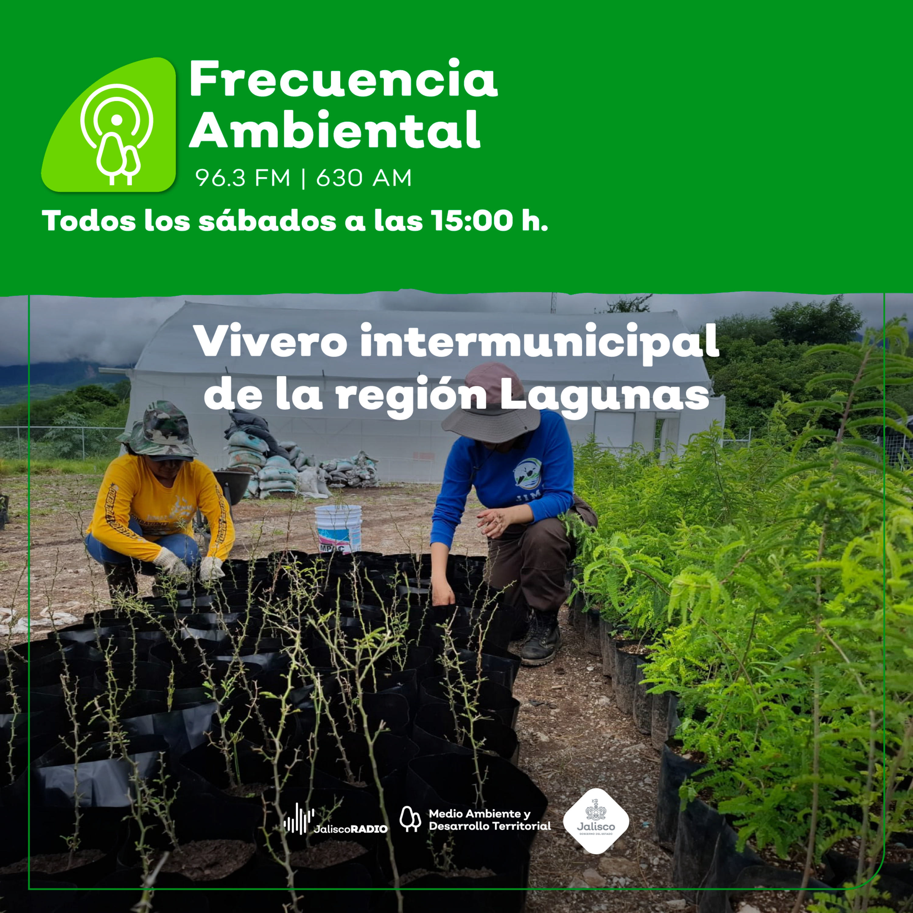 Frecuencia Ambiental
