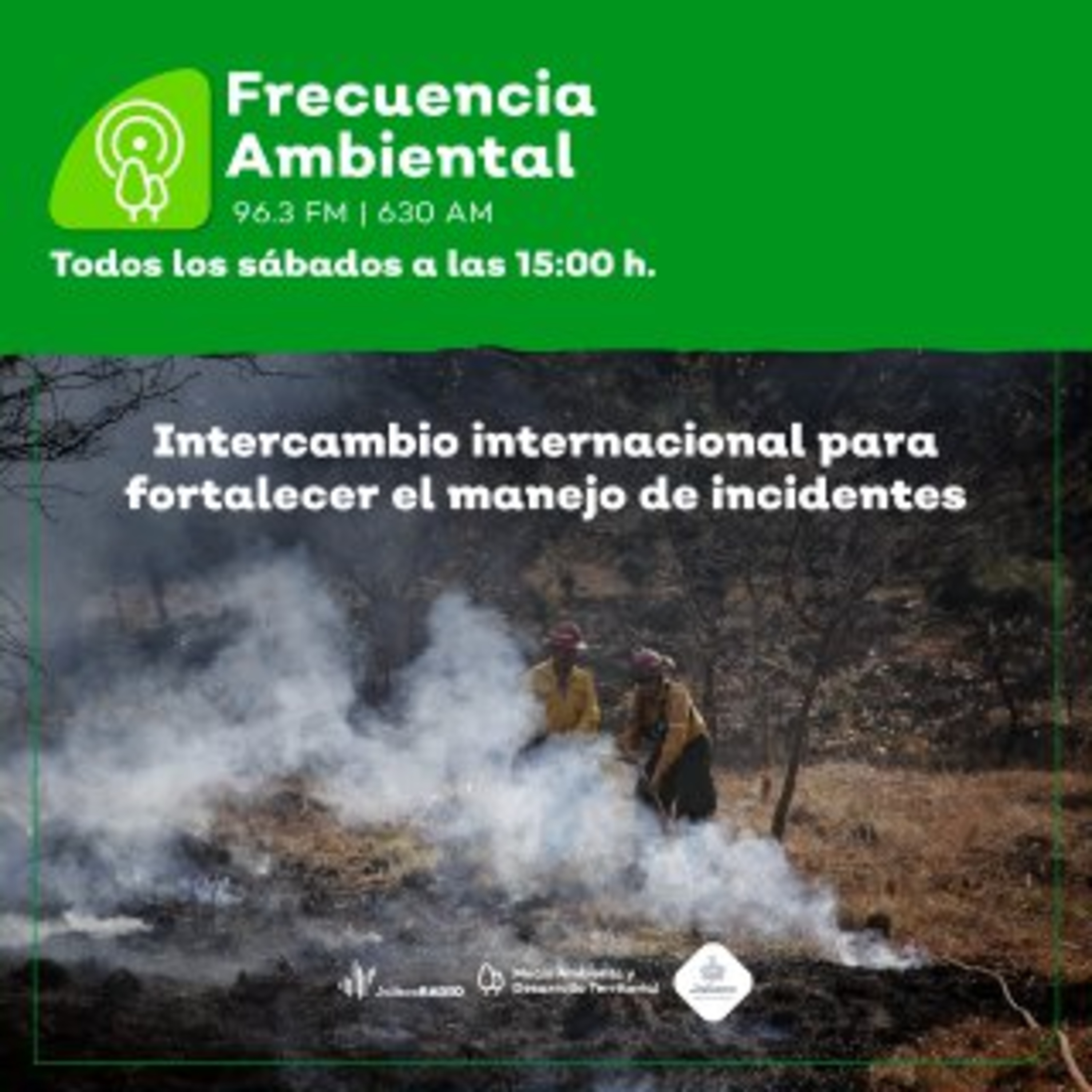 Frecuencia Ambiental