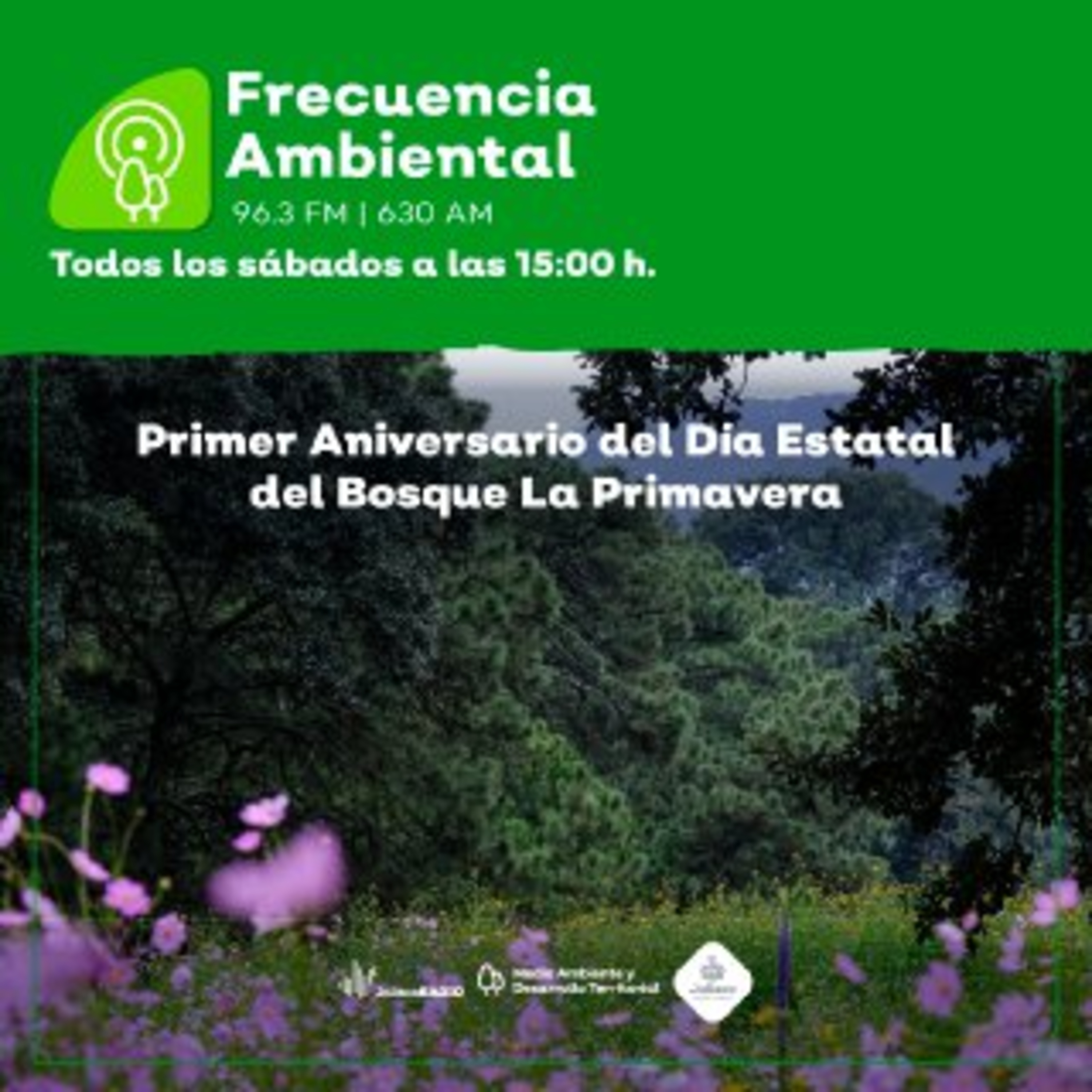 Frecuencia Ambiental