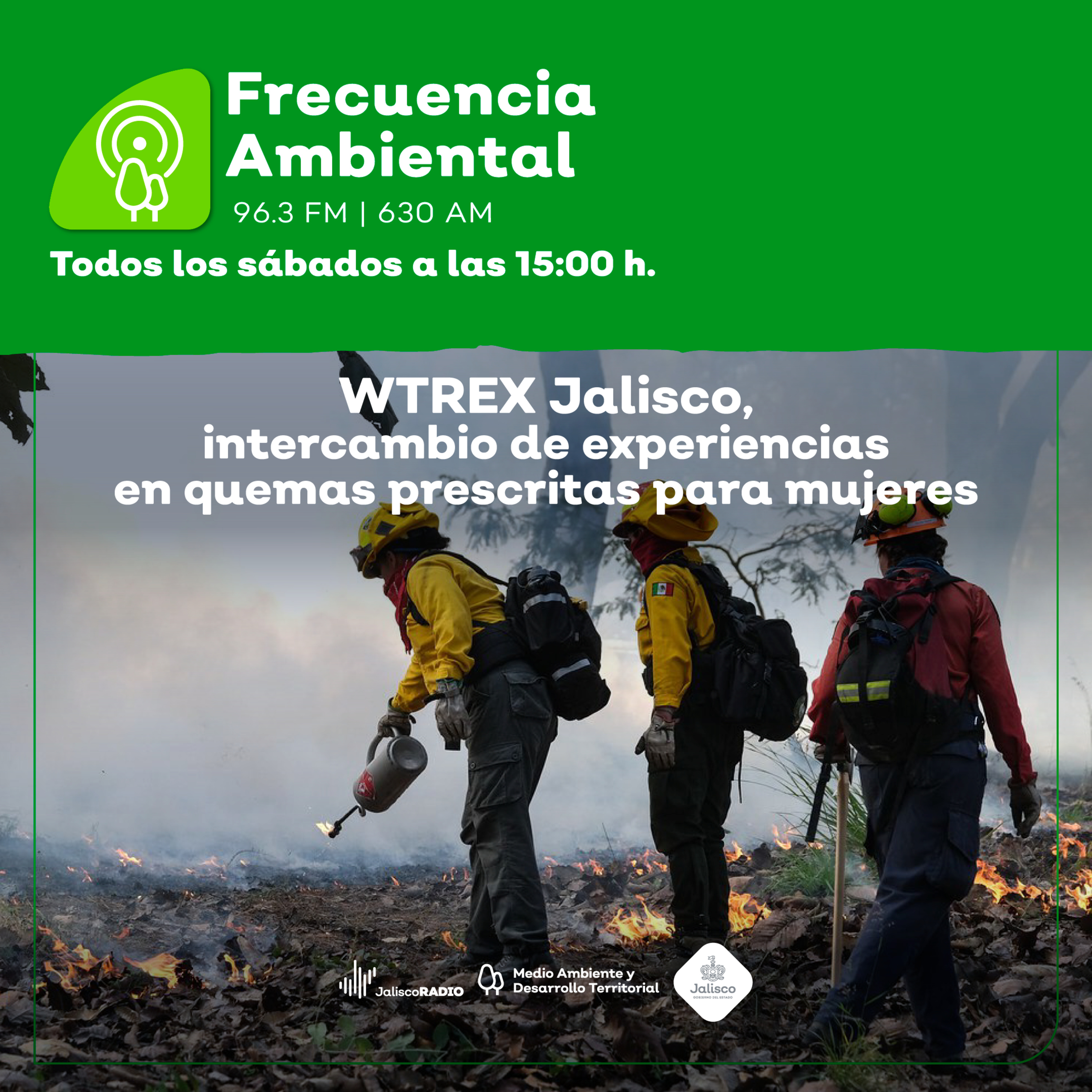 Frecuencia Ambiental