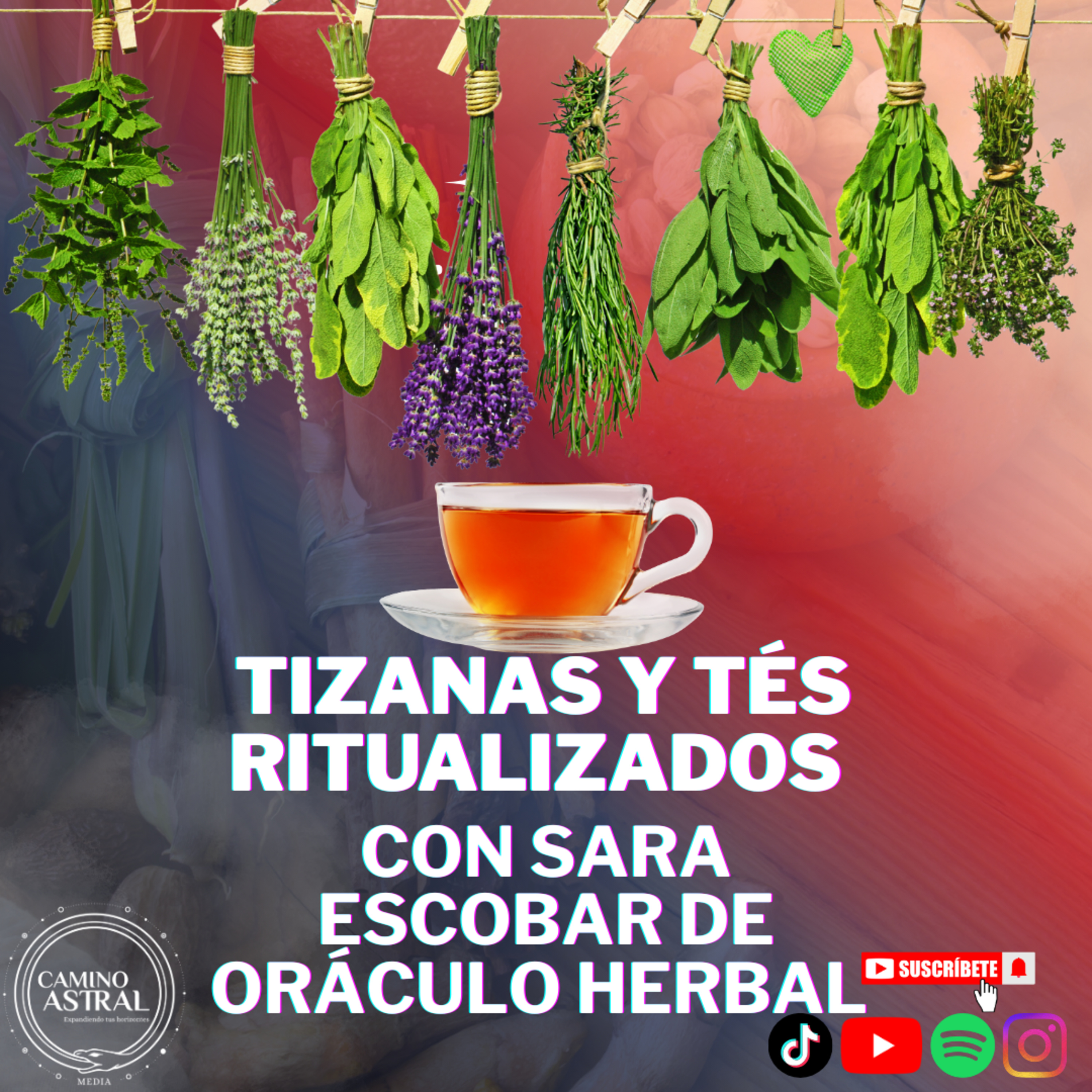 Tés y Tizanas RITUALIZADAS con Sara Escobar