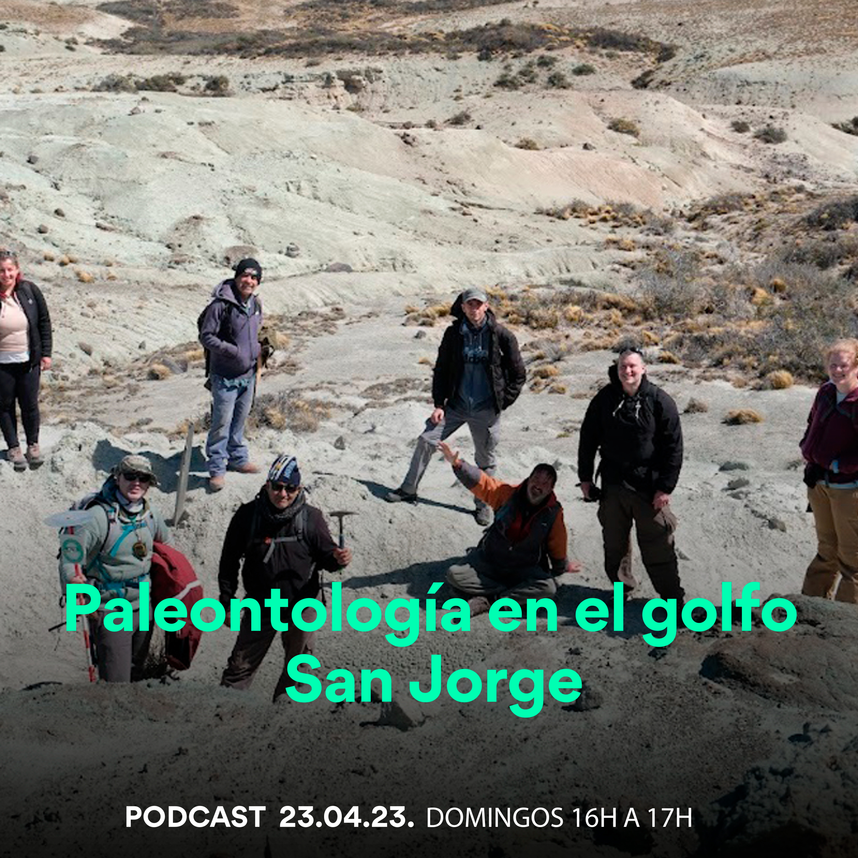 Desde el conocimiento