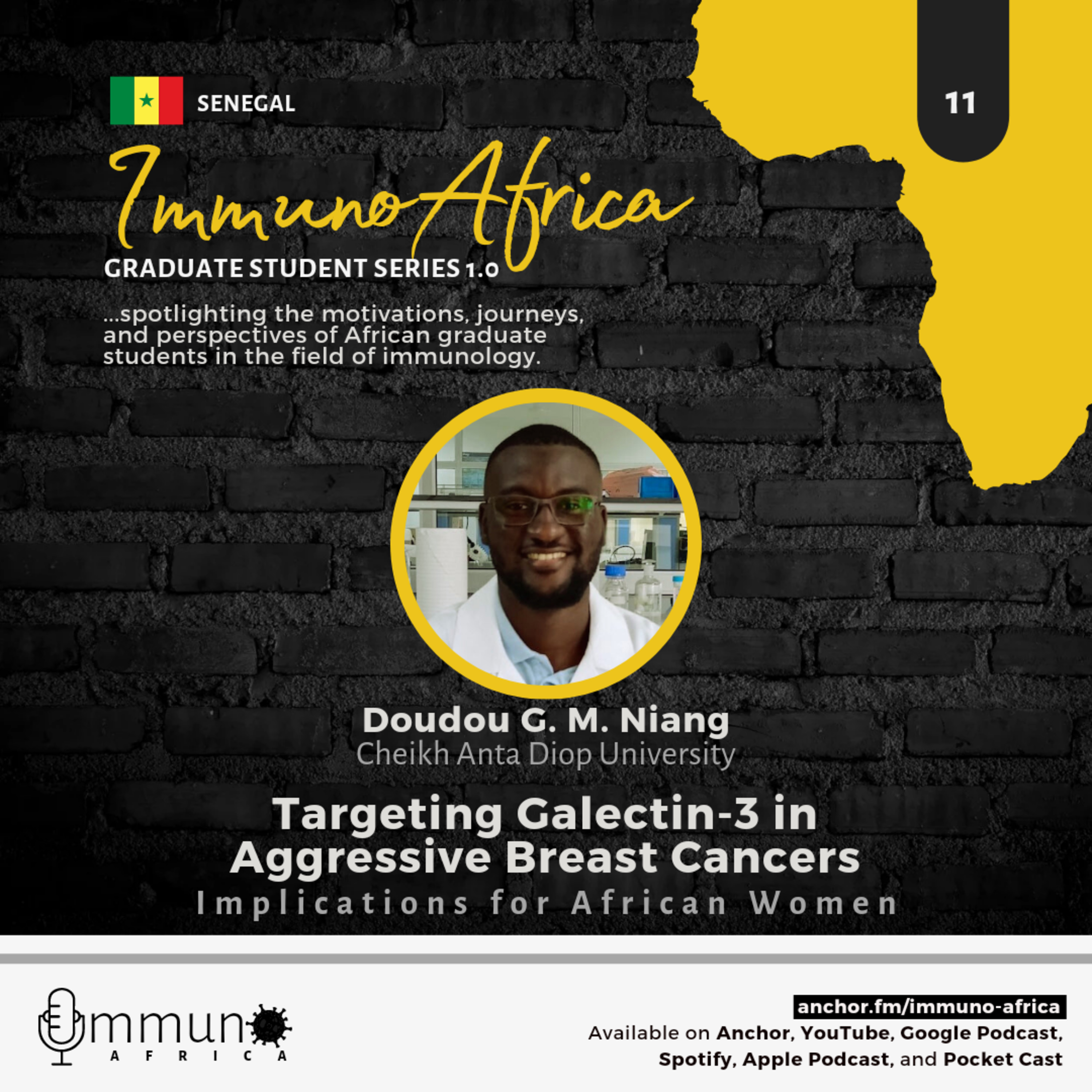 The Immunology in Africa Podcast