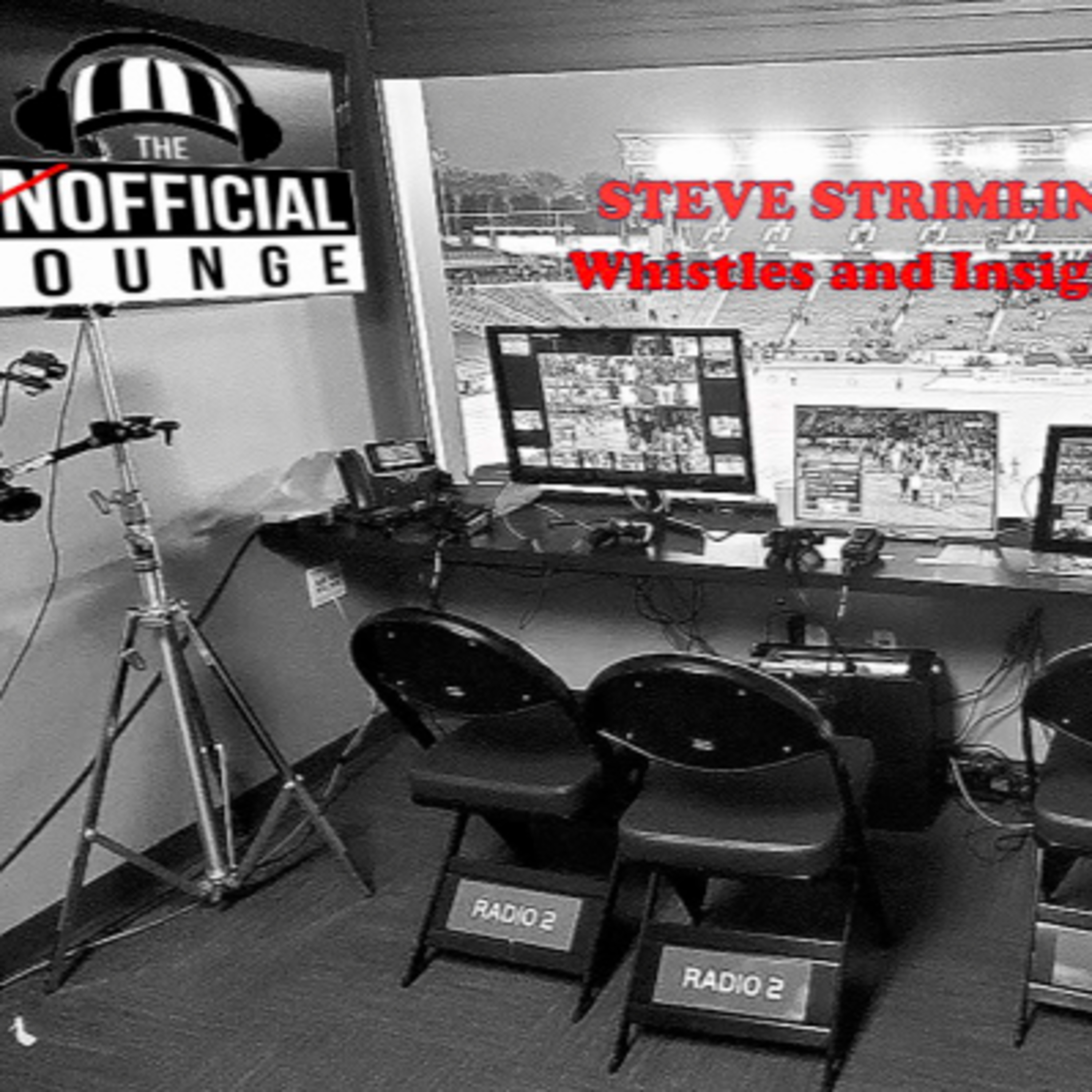 UL #117 Steve Strimling - Whistles and Insights