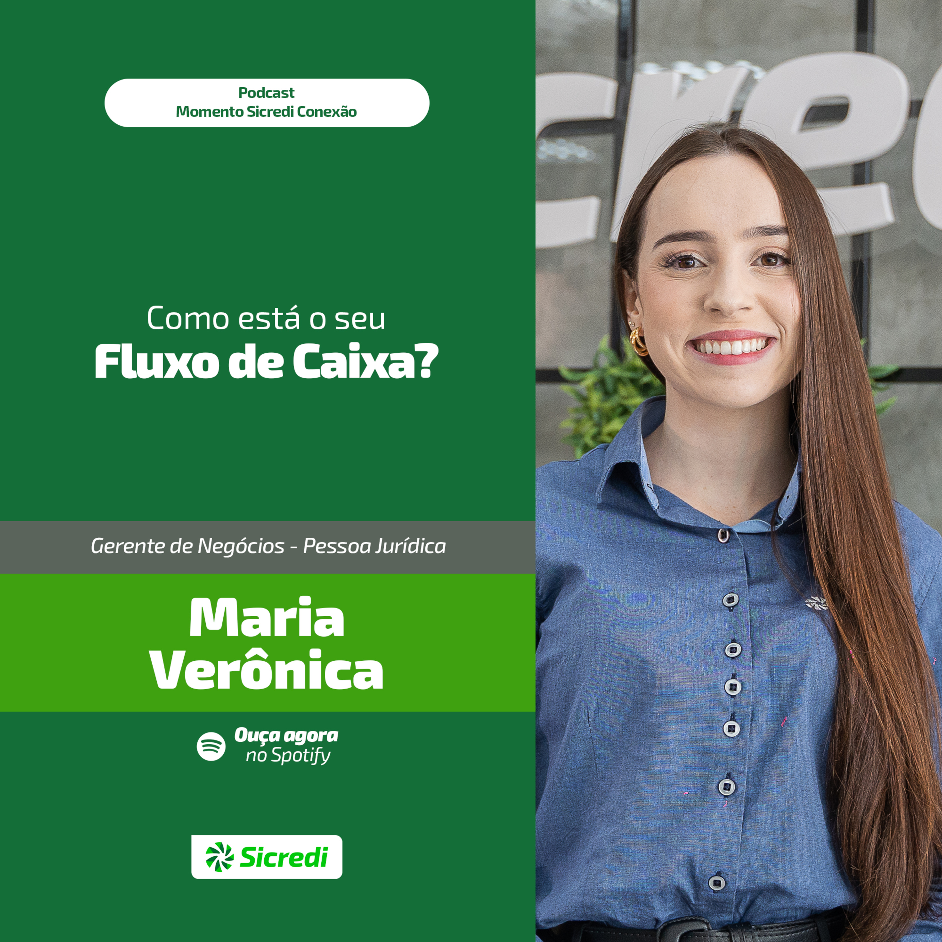 Como está o seu Fluxo de Caixa? episode artwork