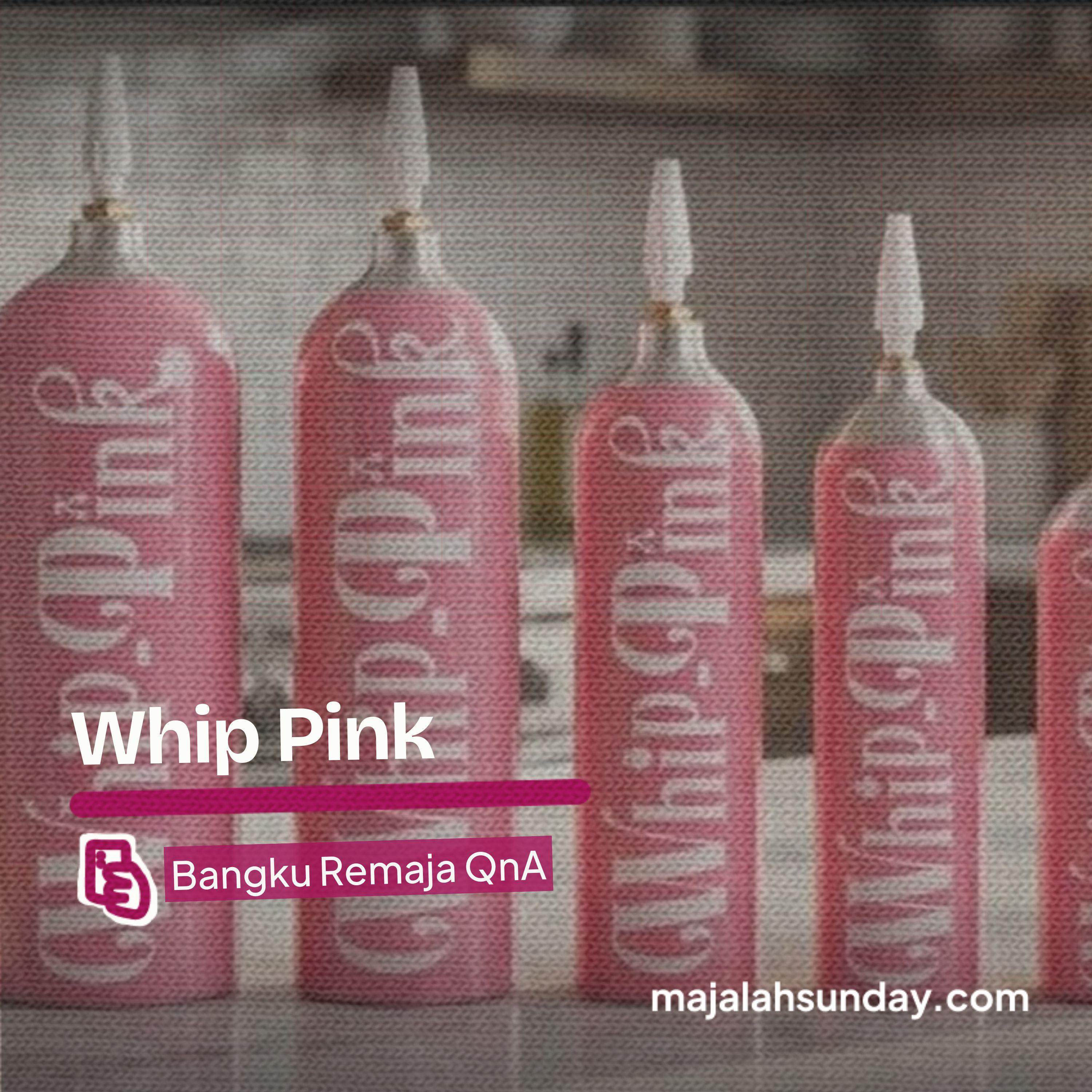 Bangku Remaja || Whip Pink episode artwork