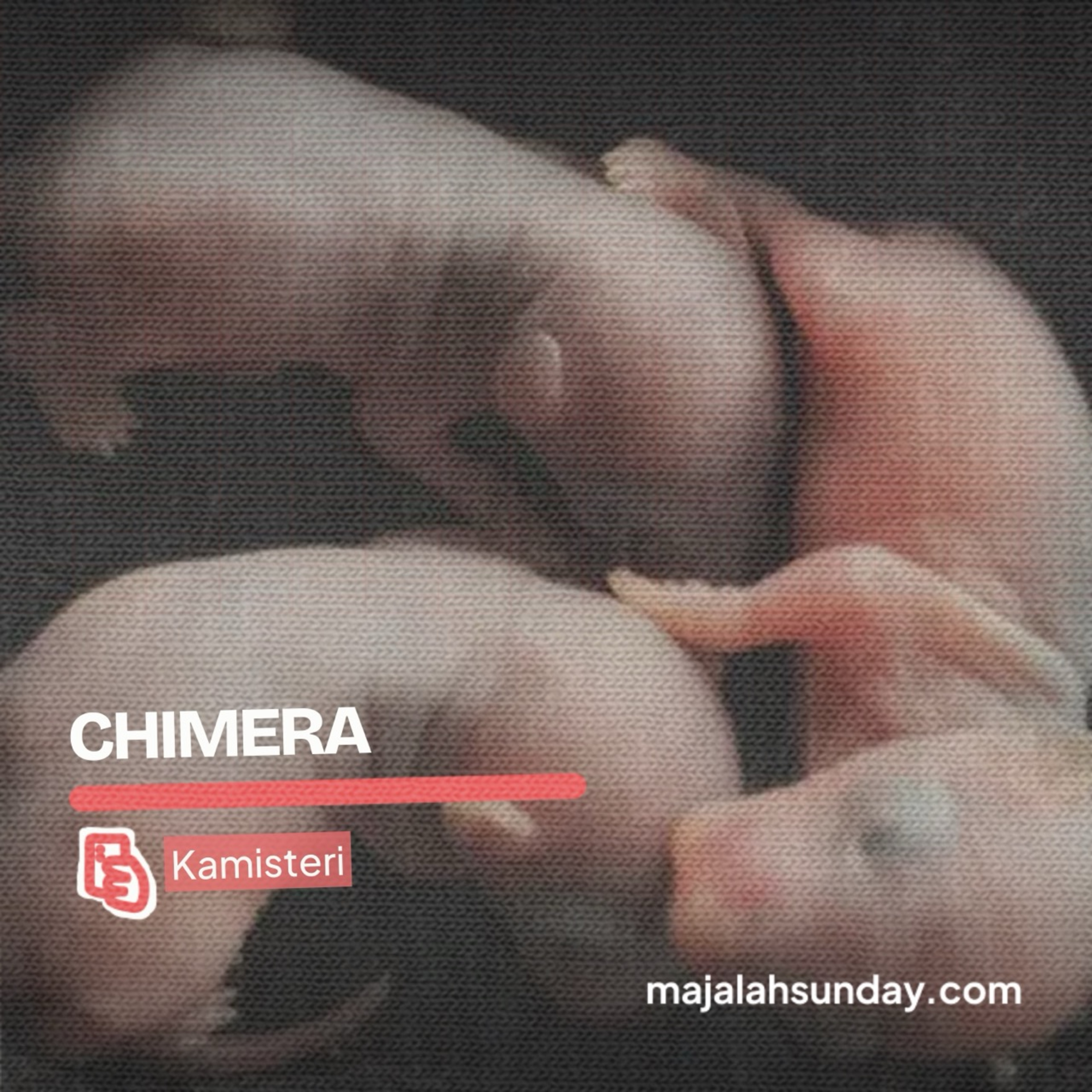Kamisteri || Chimera episode artwork