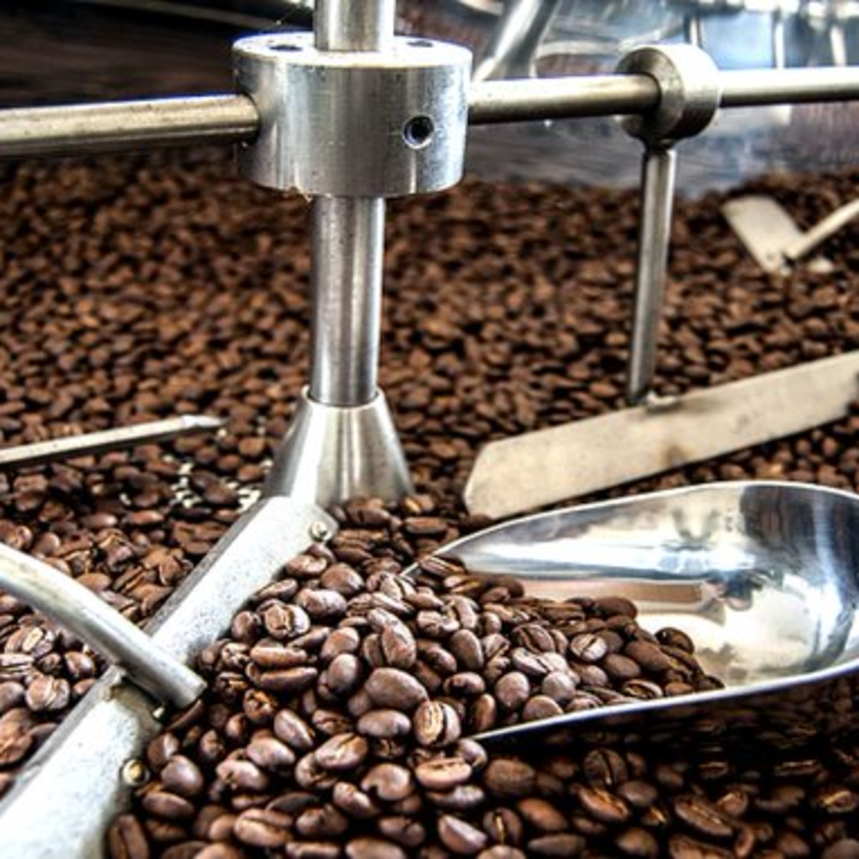 Juan Martín Skolak | El Espacio Coffee Tiger «Procesamiento del café» episode artwork
