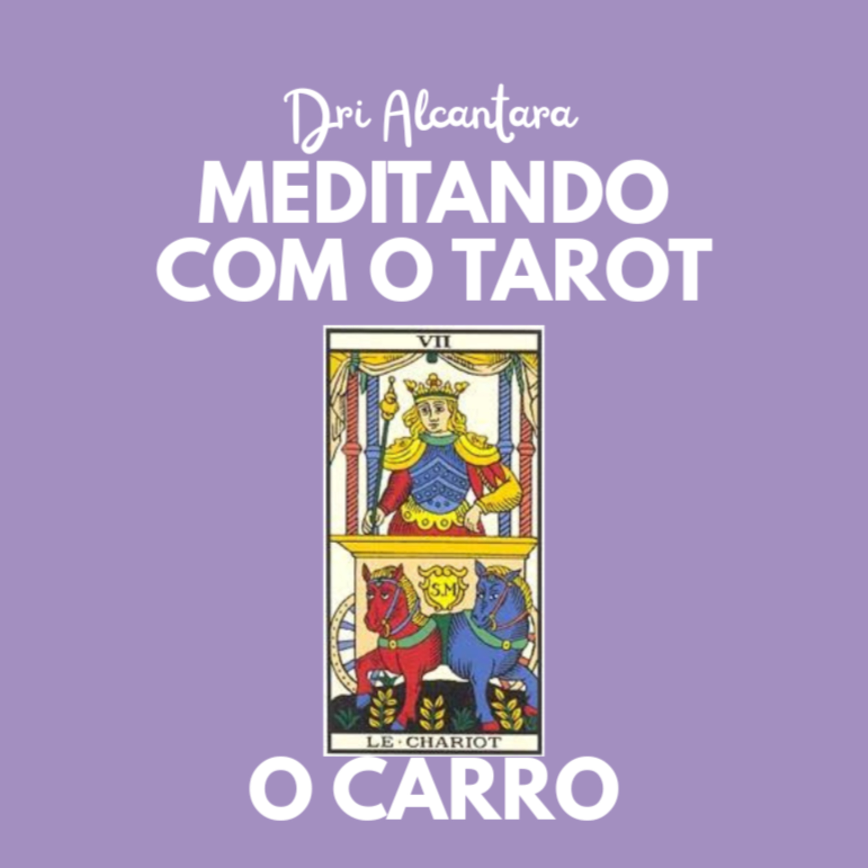 Meditando com o Tarot com Dri Alcântara