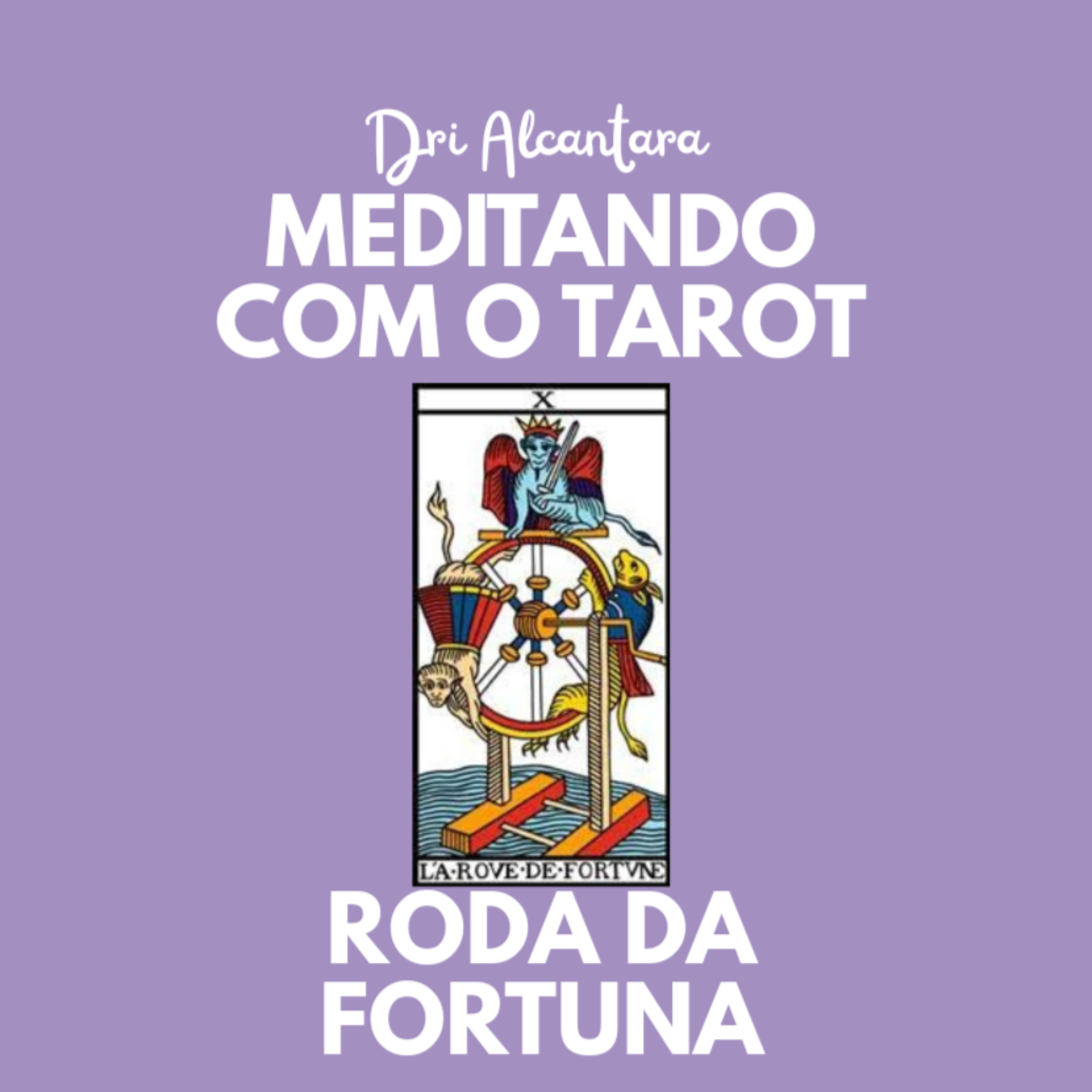 Meditando com o Tarot com Dri Alcântara