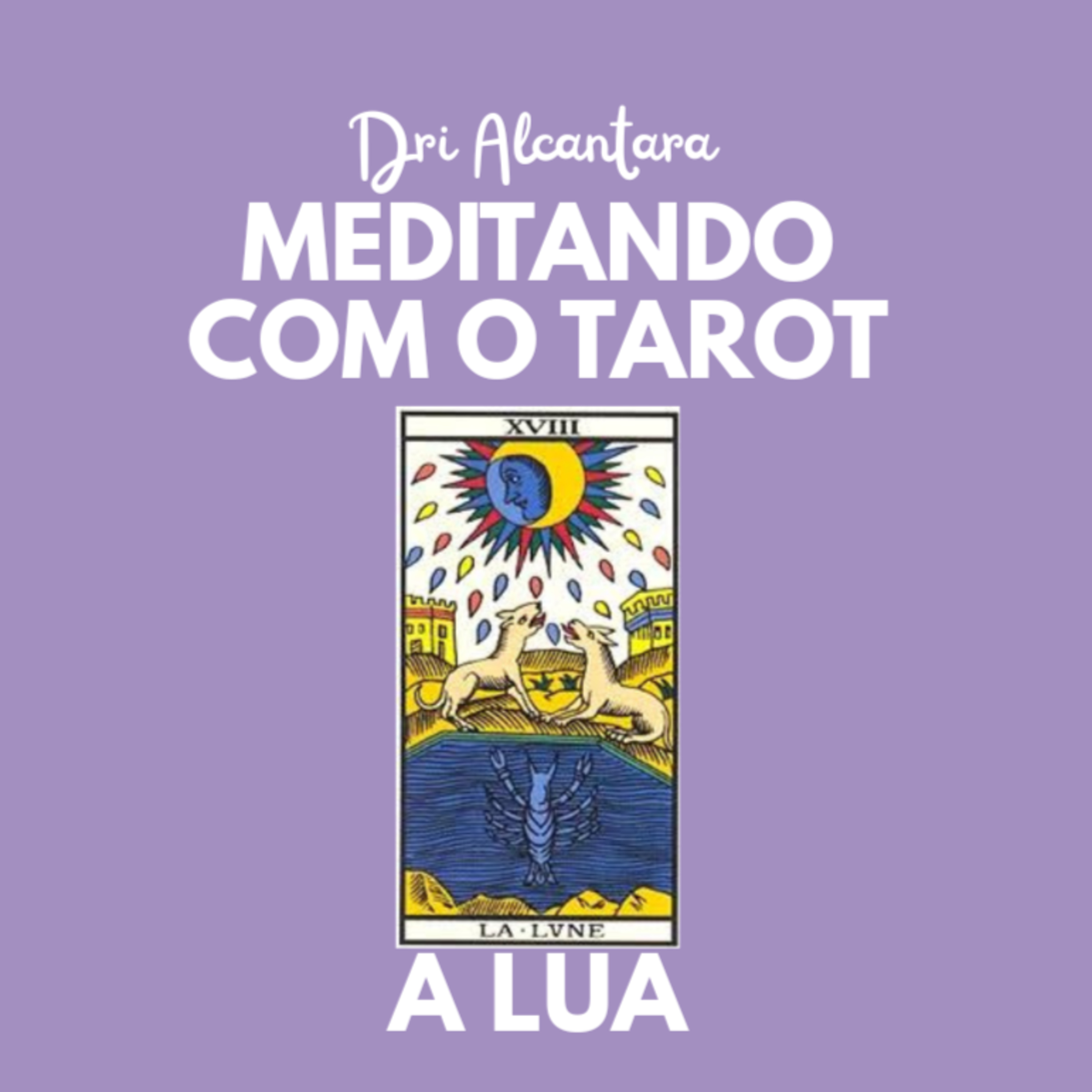 Meditando com o Tarot com Dri Alcântara