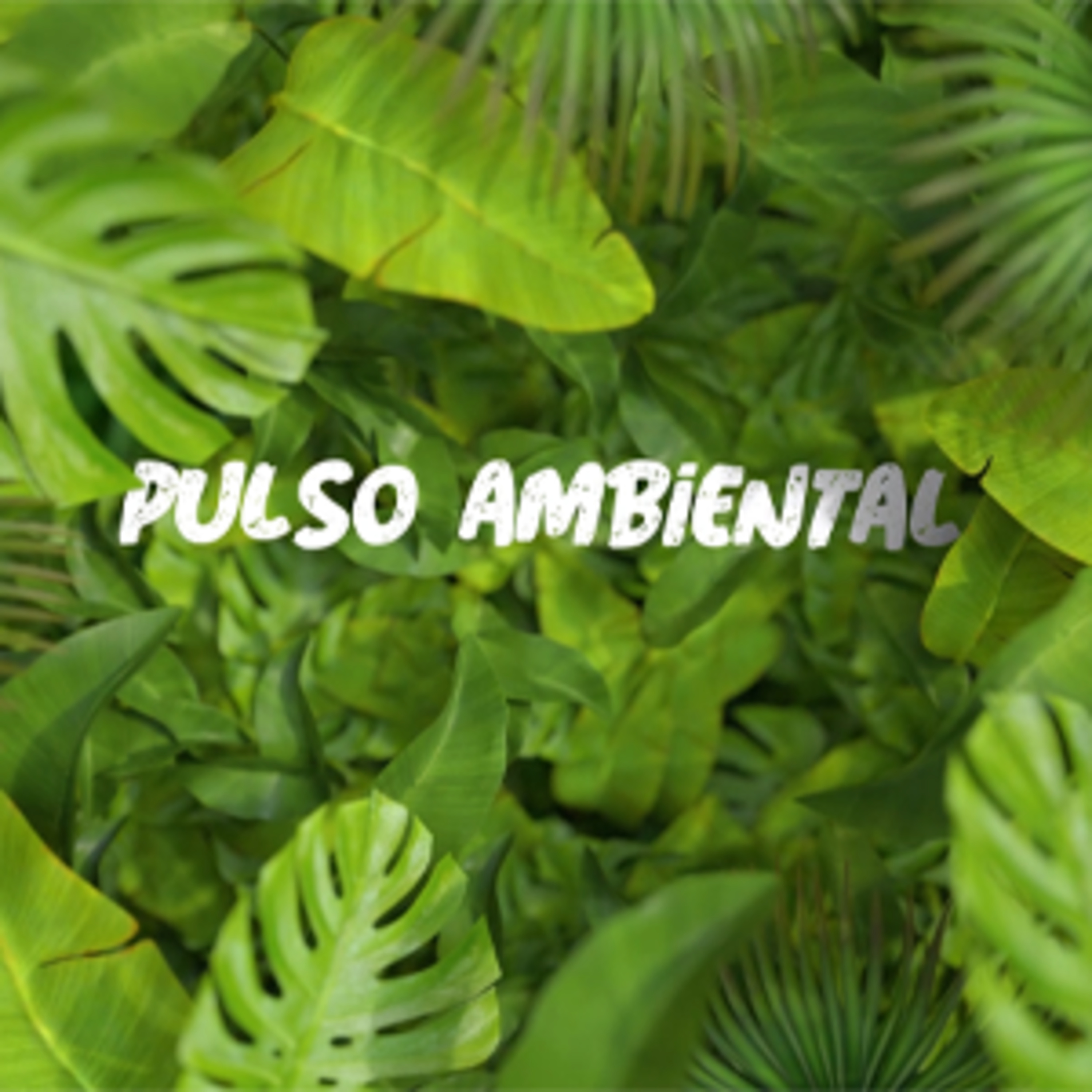 Pulso ambiental - Episodio 4: Residuos que se heredan por generaciones episode artwork