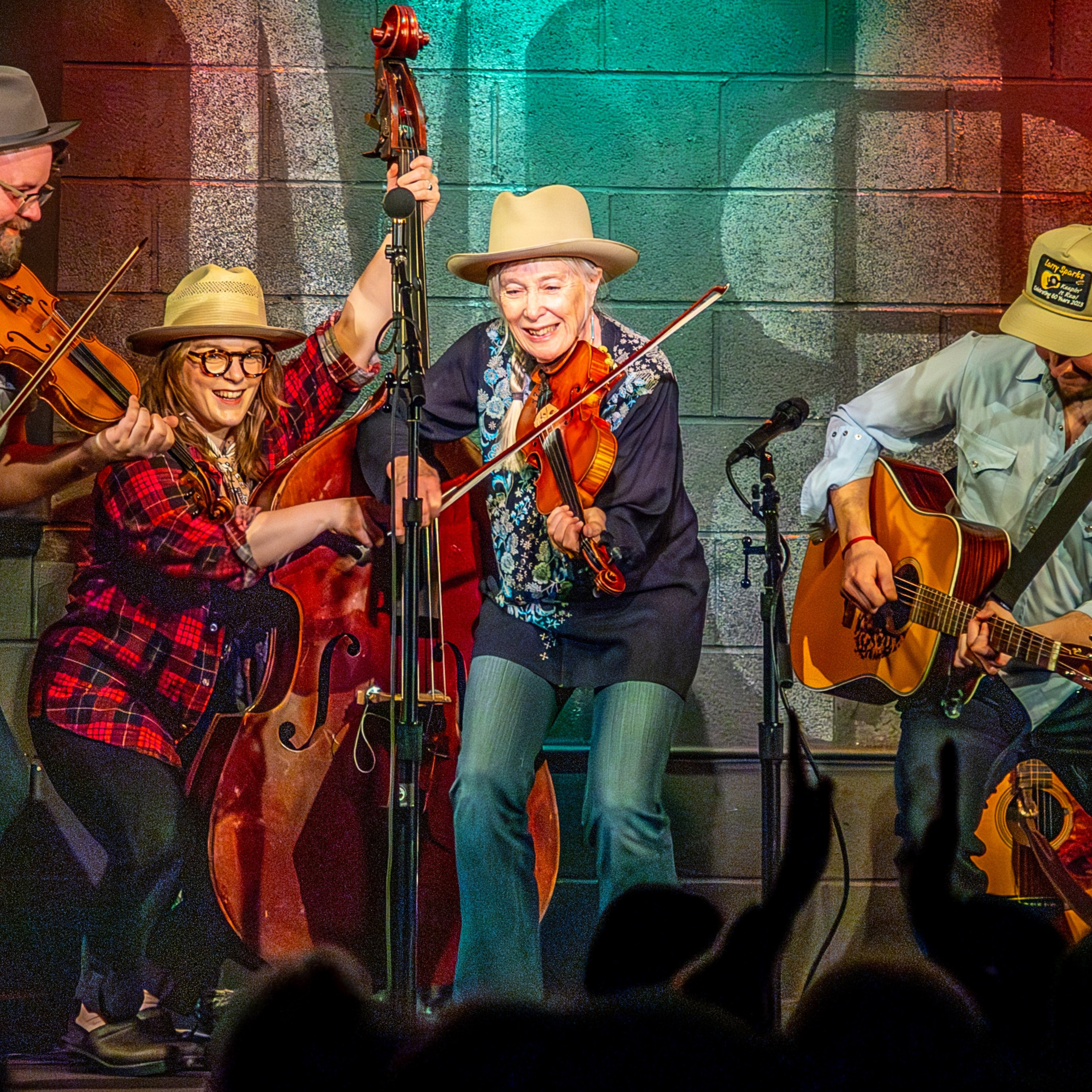 Laurie Lewis: Deep Roots, New Growth, and the Stories Behind The Album ‘Trees' episode artwork