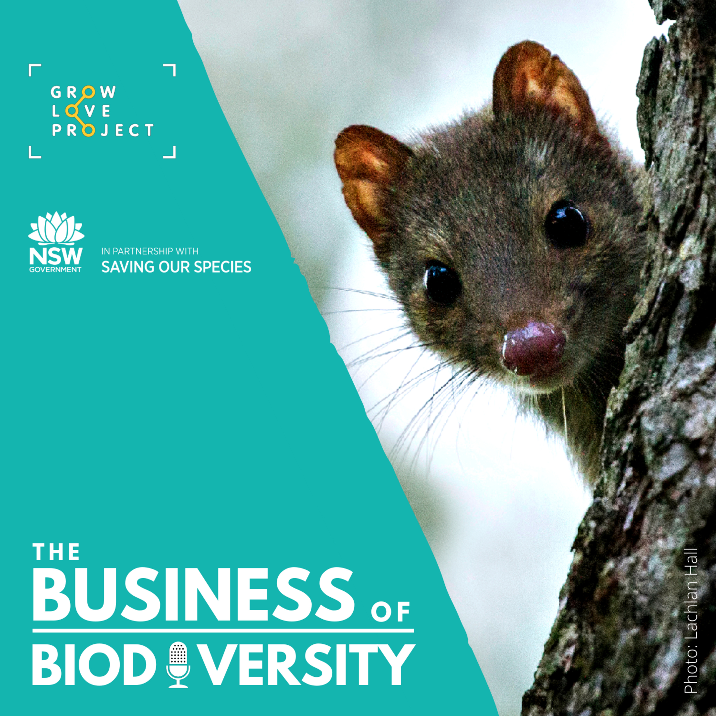 Ep 15: Sustainability in Supply Chains to protect biodiversity