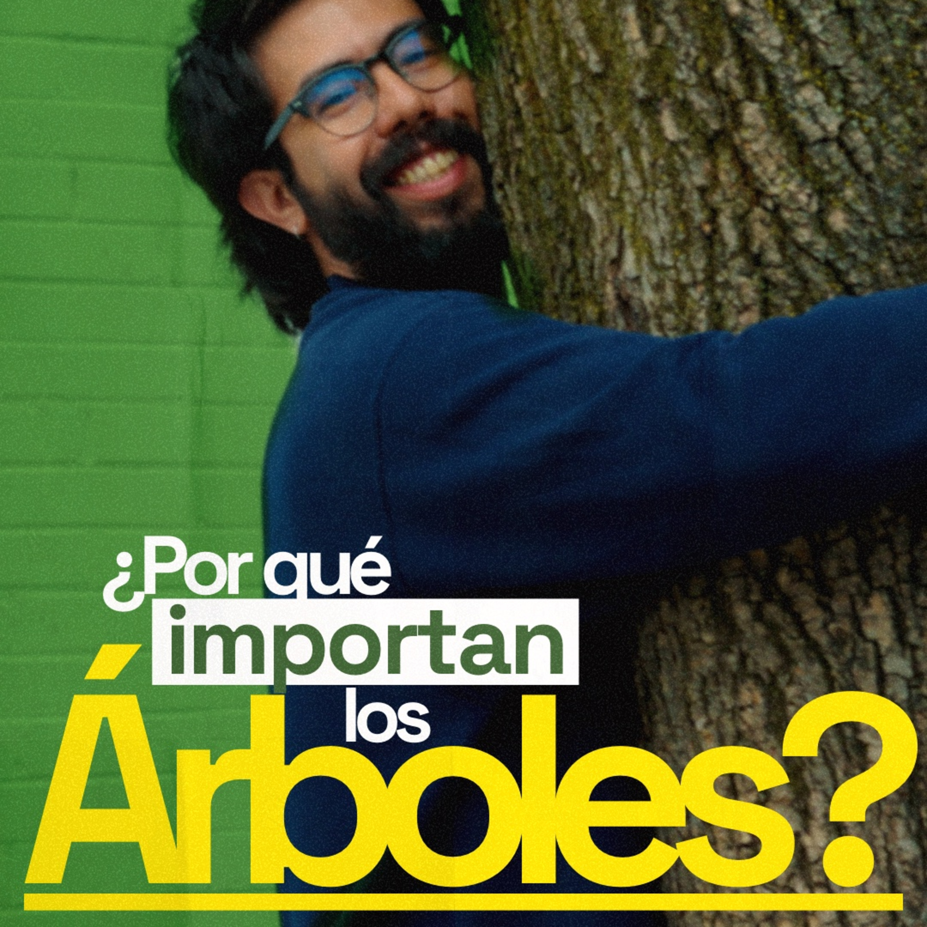  ¿Por qué importan los árboles? | 307