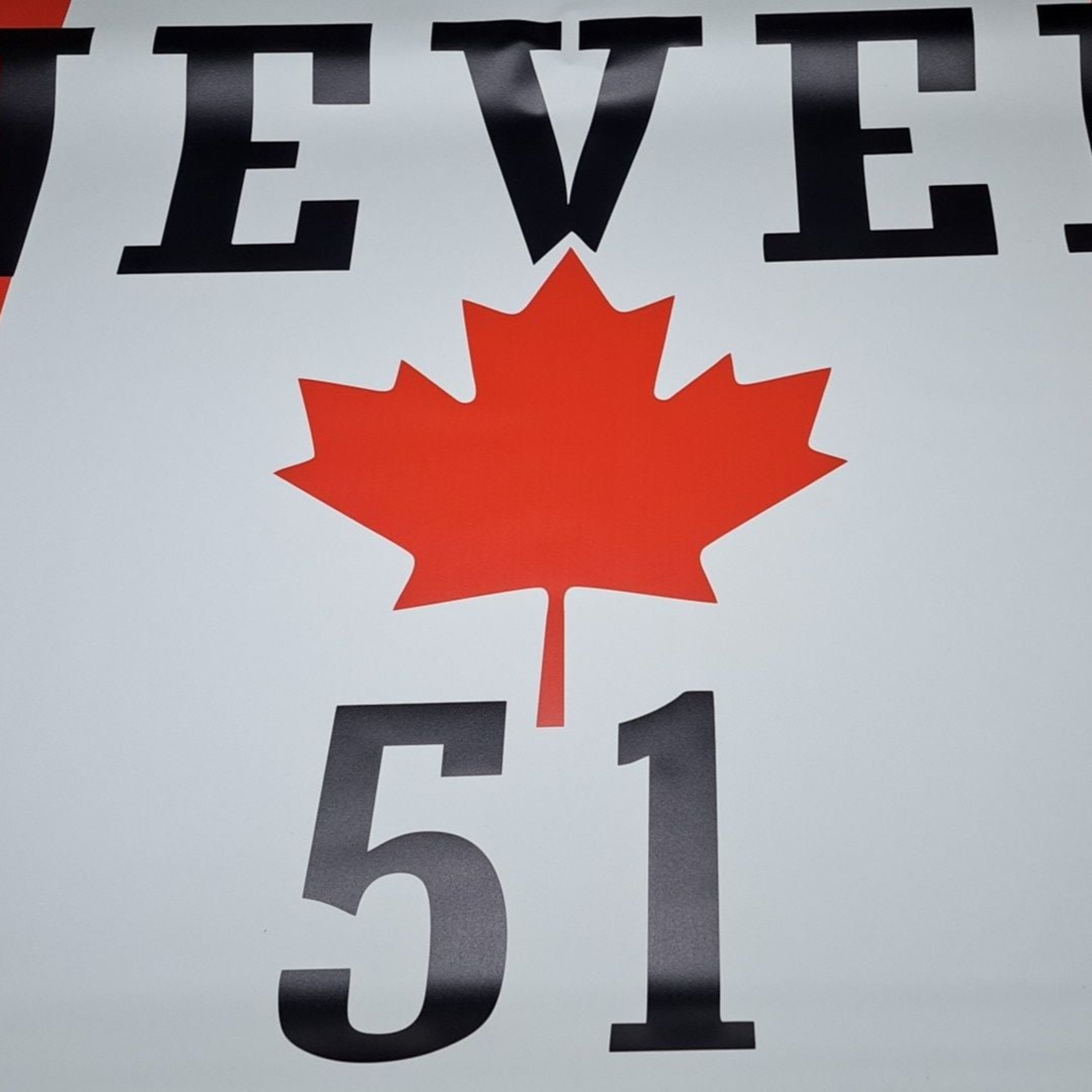 Political Disaster in America and Canada - Mental Health Checkup #11 episode artwork