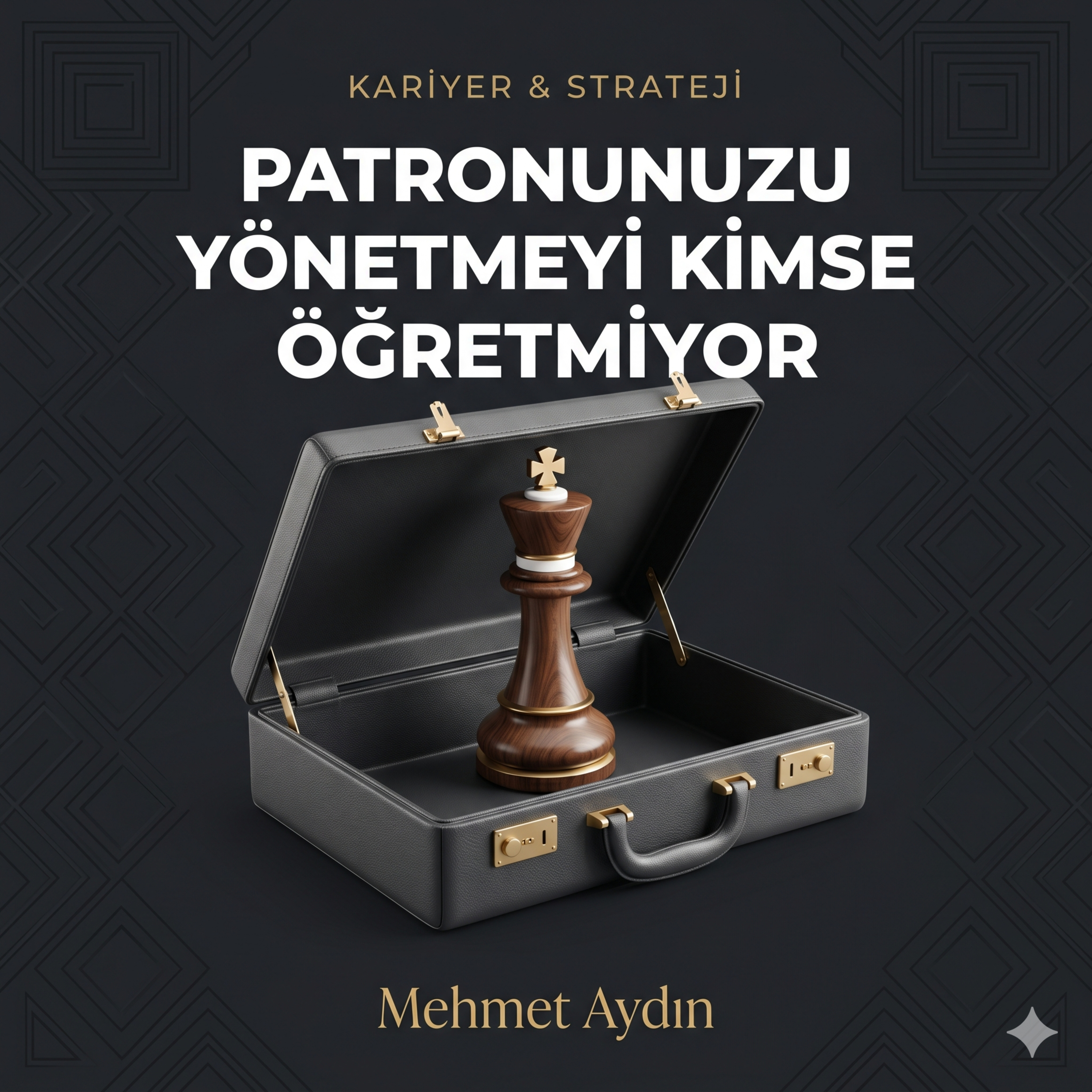 Patronunuzu Yönetmek: Kimsenin Öğretmediği Beceri episode artwork