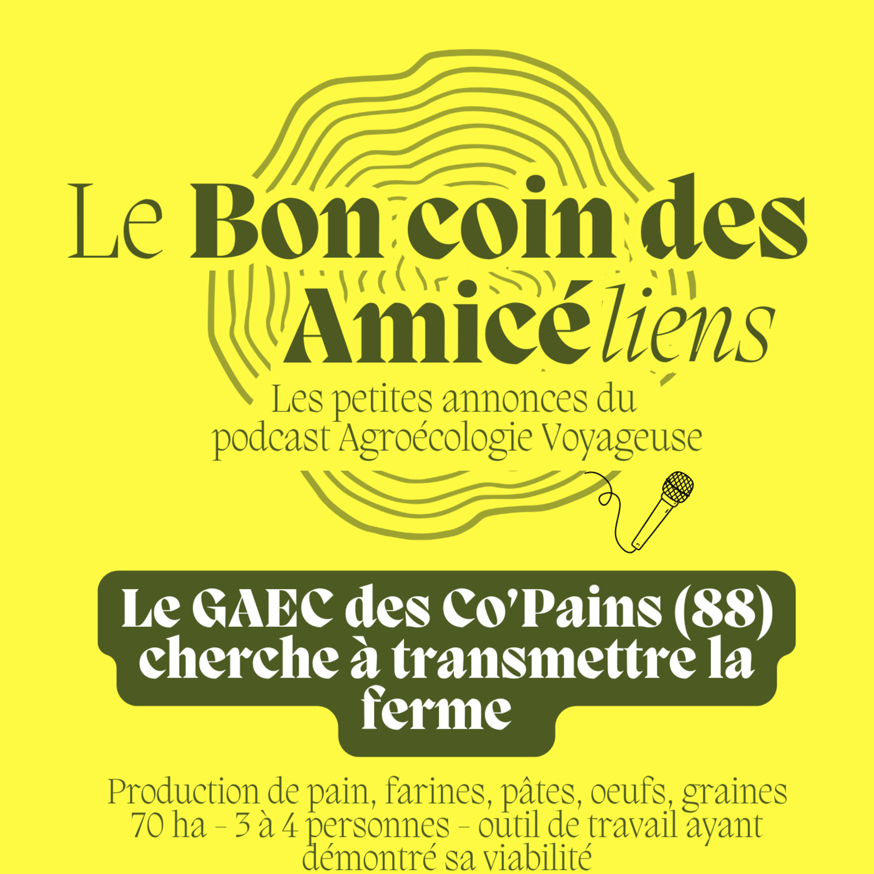 📣 Ferme à Reprendre dans les Vosges : Le GAEC des Co'Pains 🥖🌾🐓 Le Bon Coin des AmicéLiens
