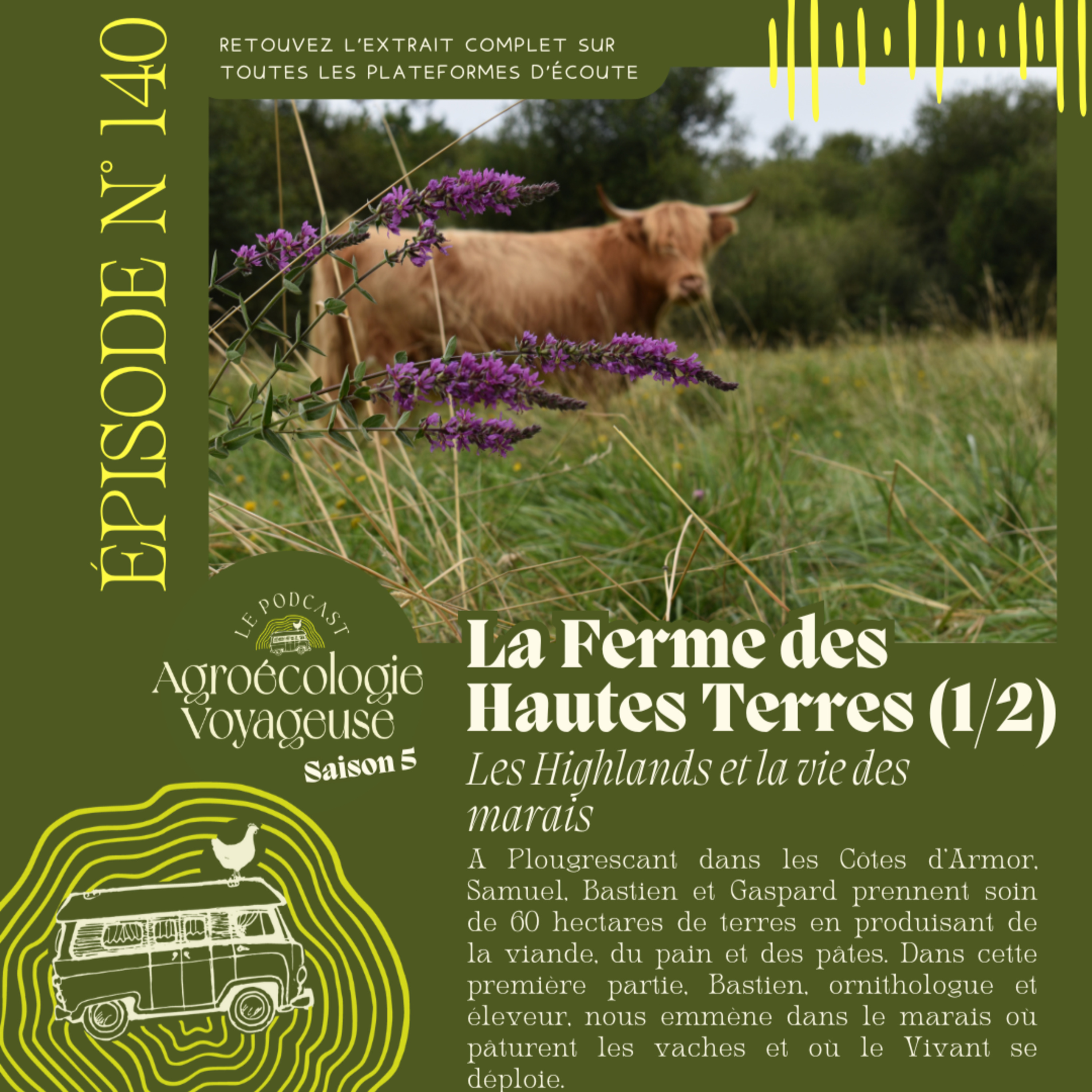 #140 La Ferme des Hautes Terres (1/2) Les Highlands et la vie des marais
