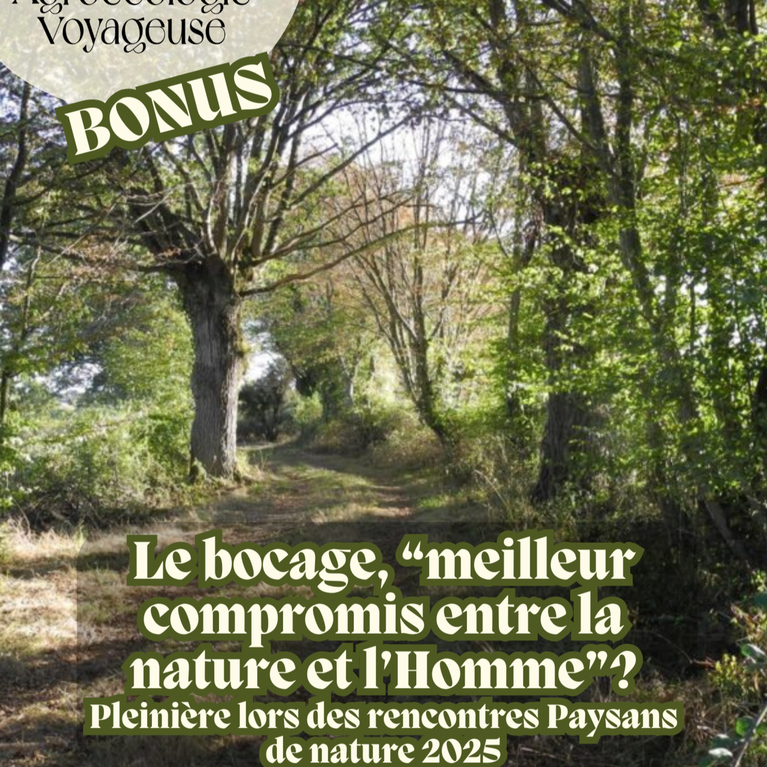 BONUS 🌳🦉 Le bocage, meilleur compromis entre la nature et l'Homme ? Rencontres Paysans de nature 2025