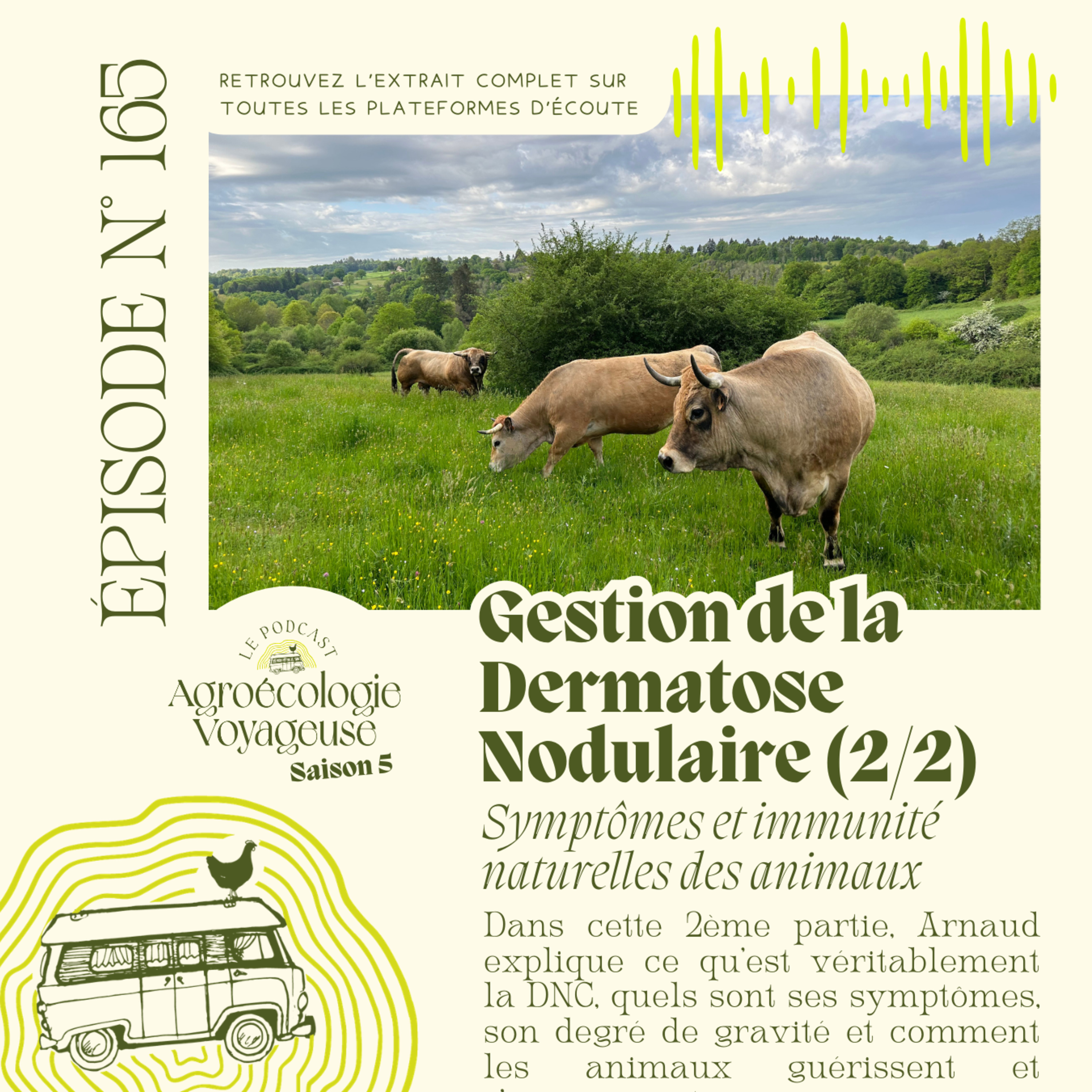 #165 La vérité sur la DNC : une vision "anti-biotique" de l'élevage (2/2)