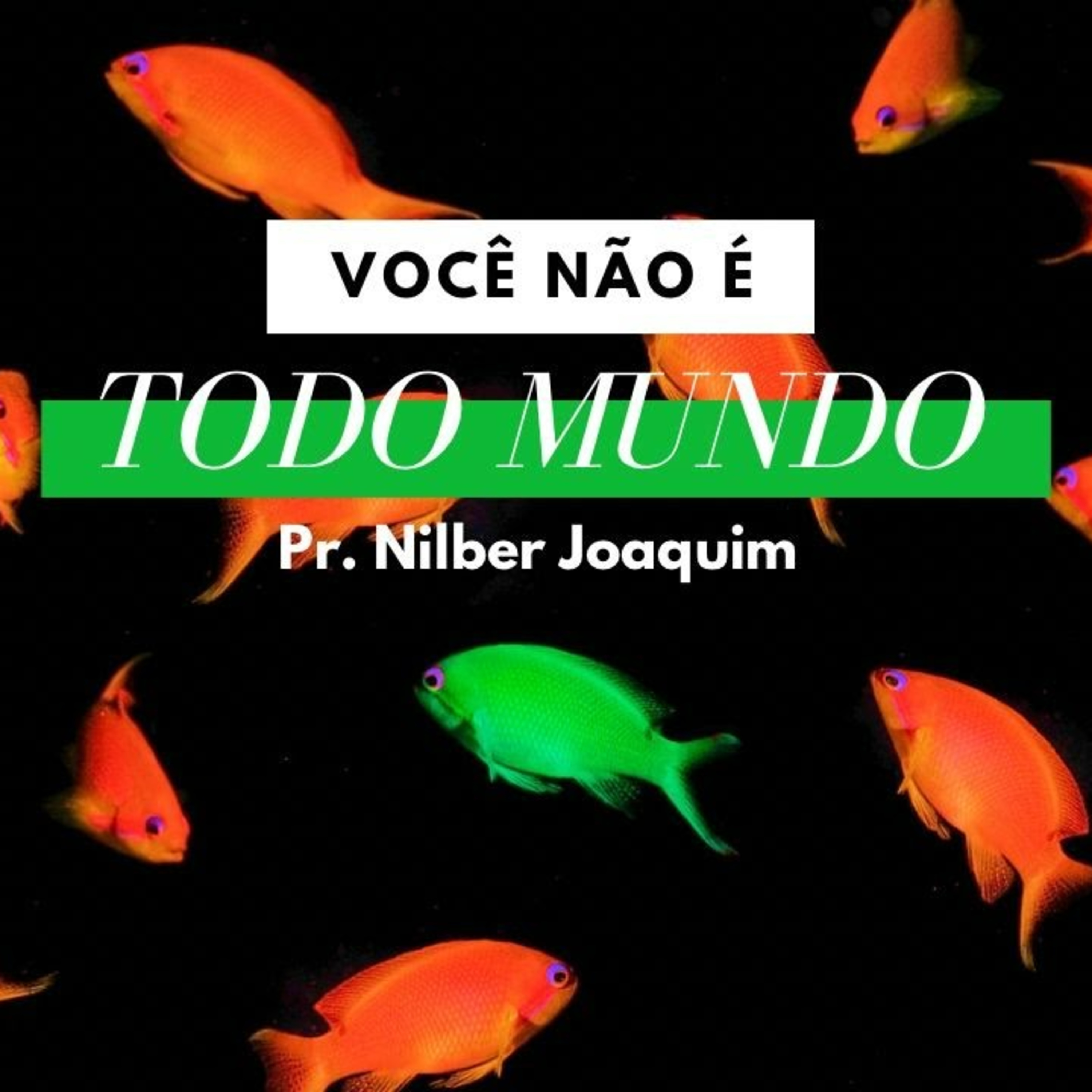 Você não é todo mundo. - Parte 3 - Pr. Nilber Joaquim episode artwork