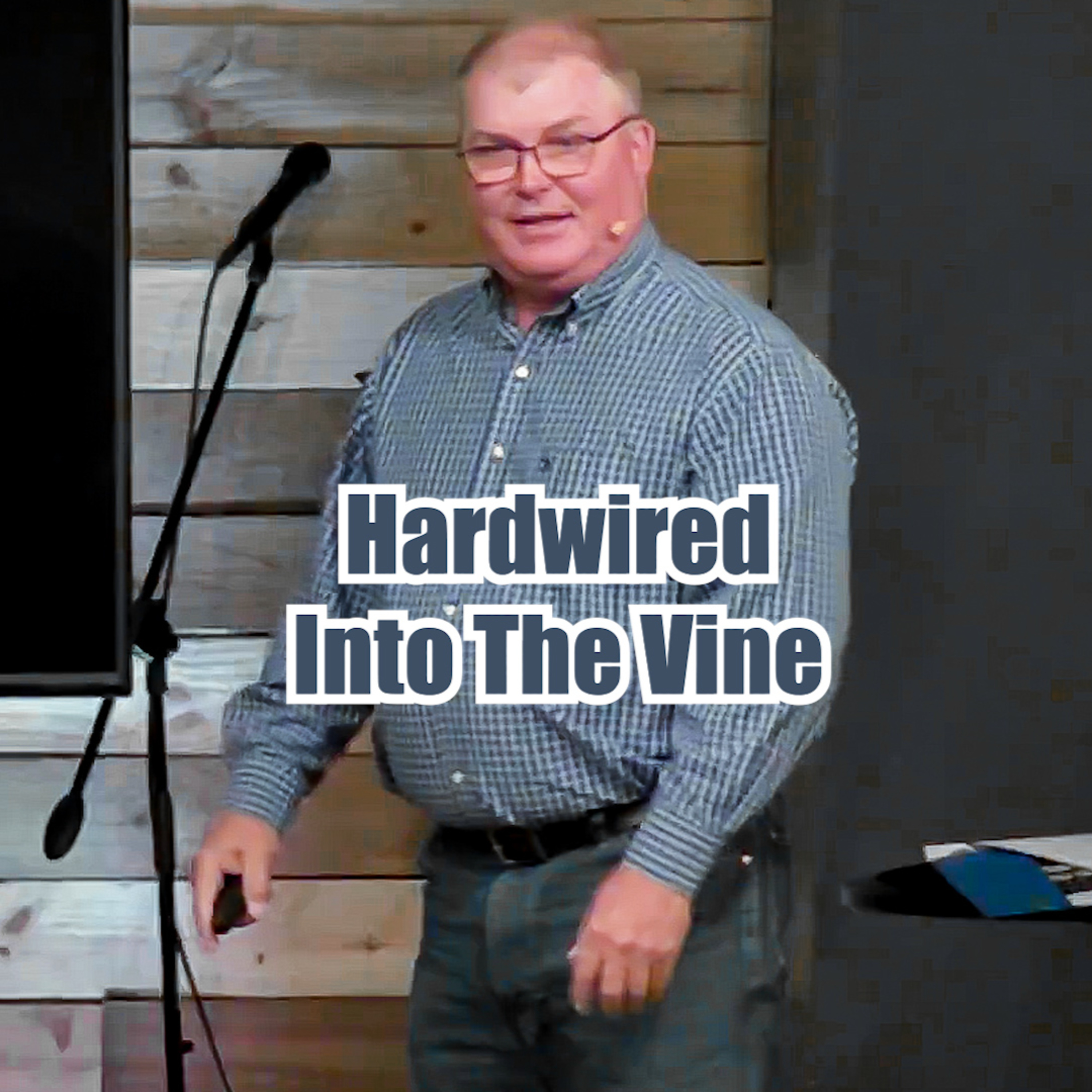 John 15: 1-8 Hardwired Into the Vine episode artwork