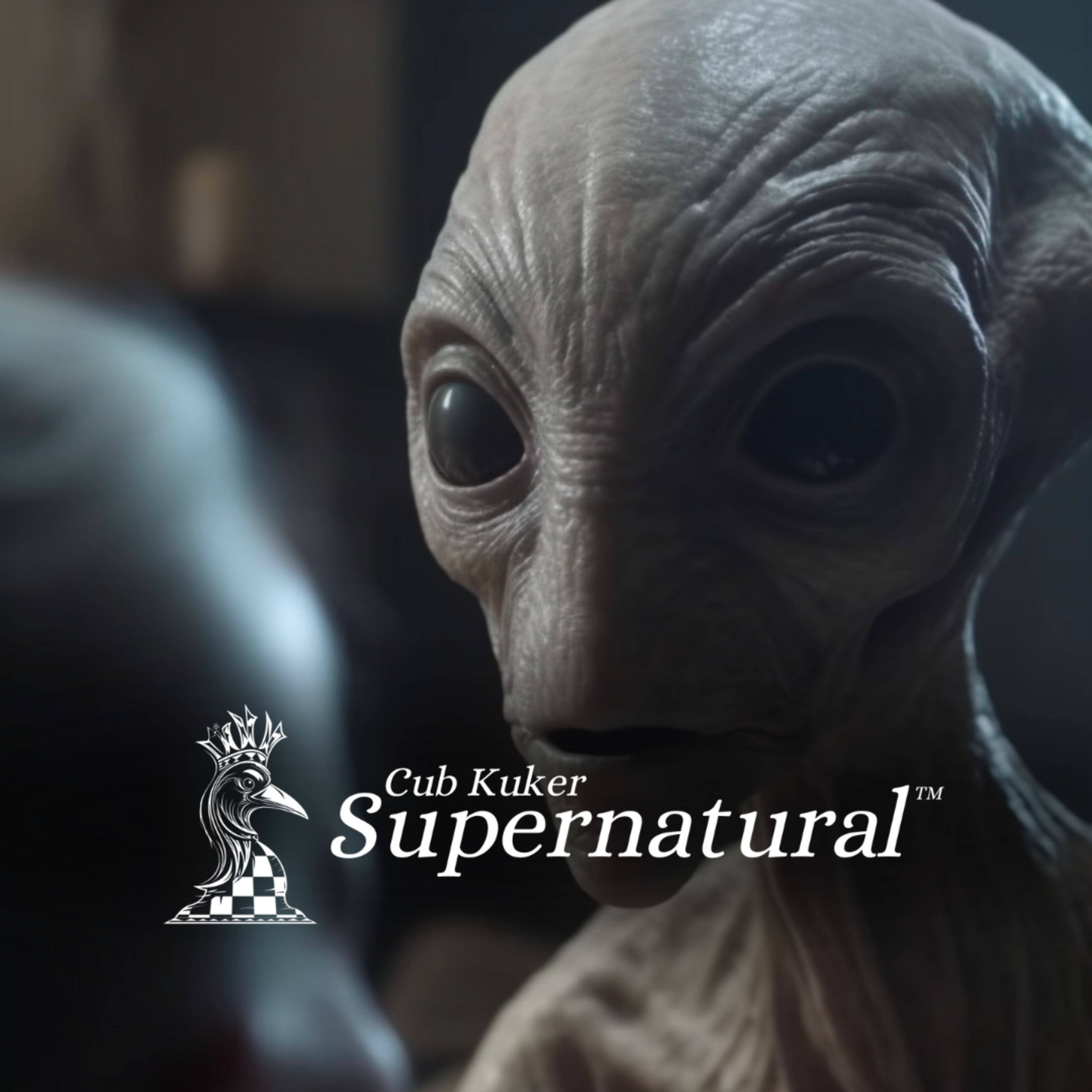 The Anunnaki Gods and Their Relationship to the IGIGI (Watchers): A Bold Perspective on Ancient Astronaut Theory episode artwork