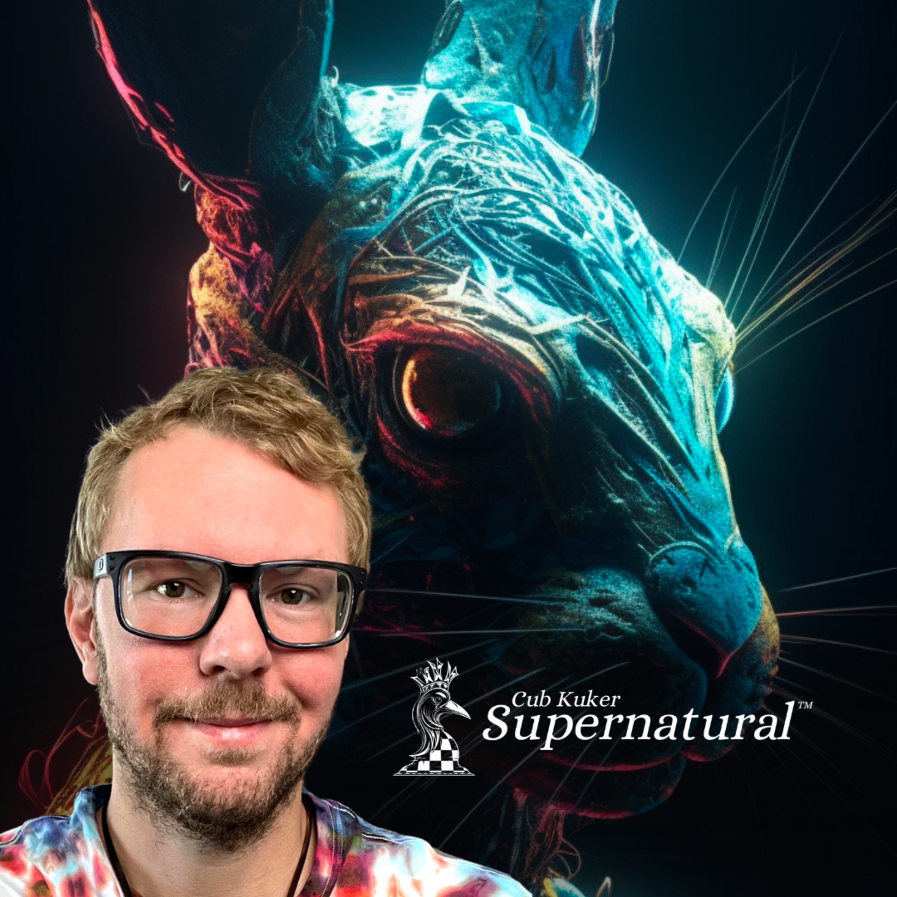 The Philosophy of Time Travel by Roberta Sparrow (Fictional Rabbit-Hole?) episode artwork