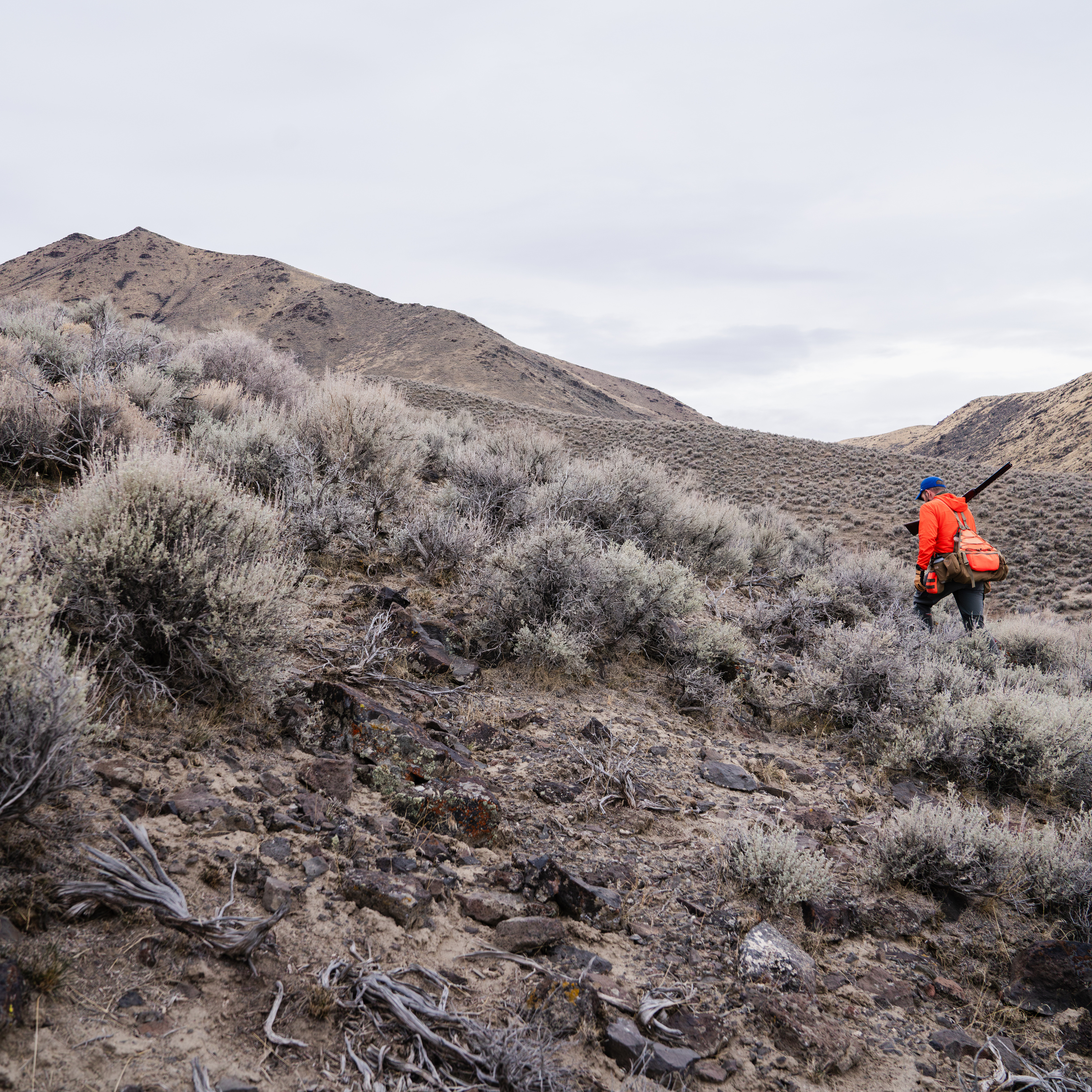 77: The How and Why of Long Duration Aerobic Training for Hunters