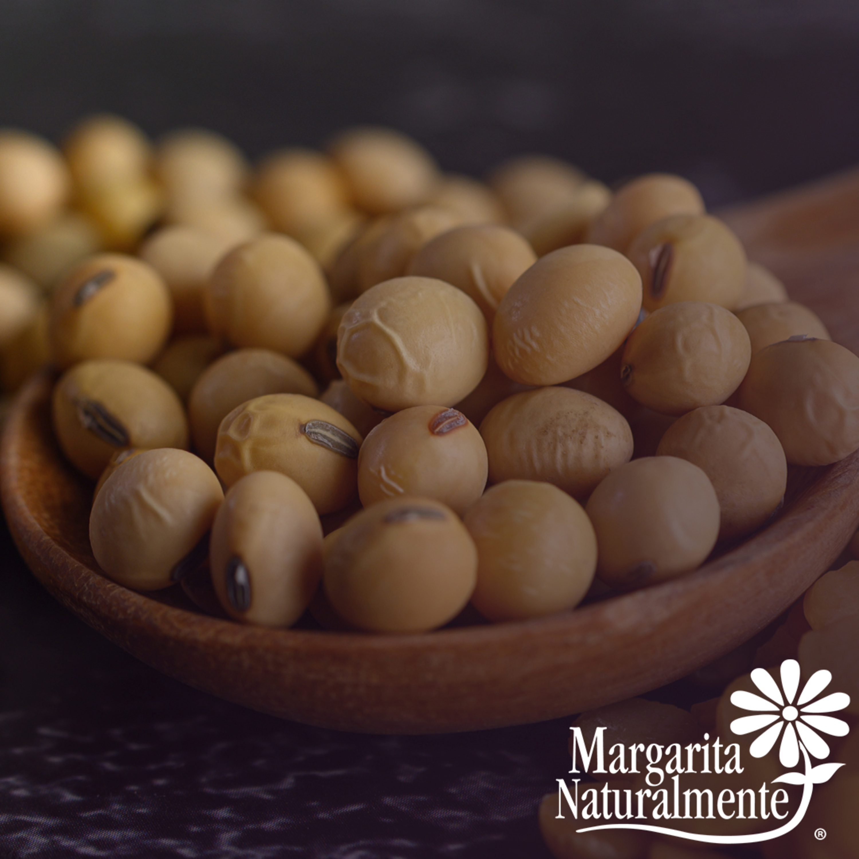 Lecitina de Soya