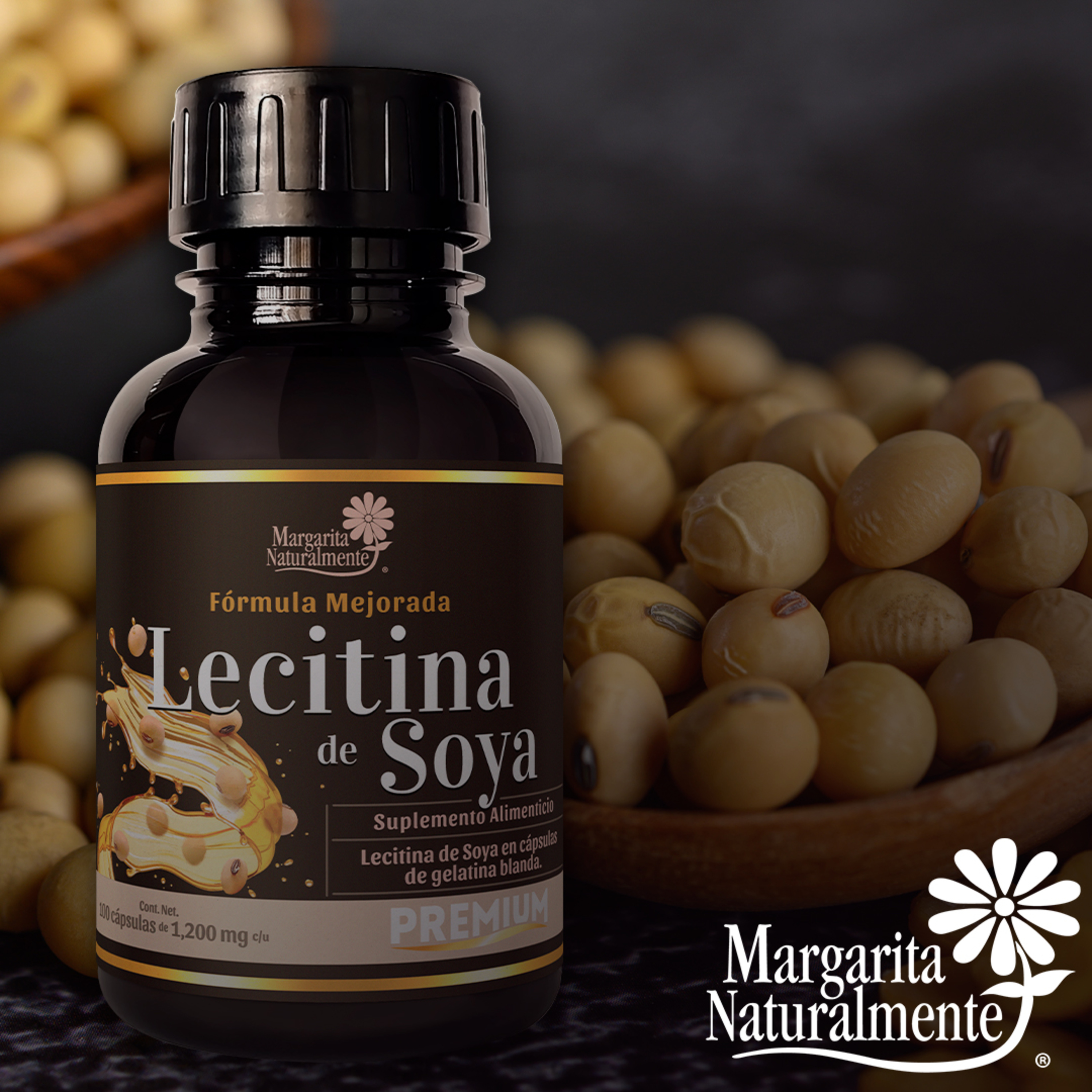 Lecitina de Soya