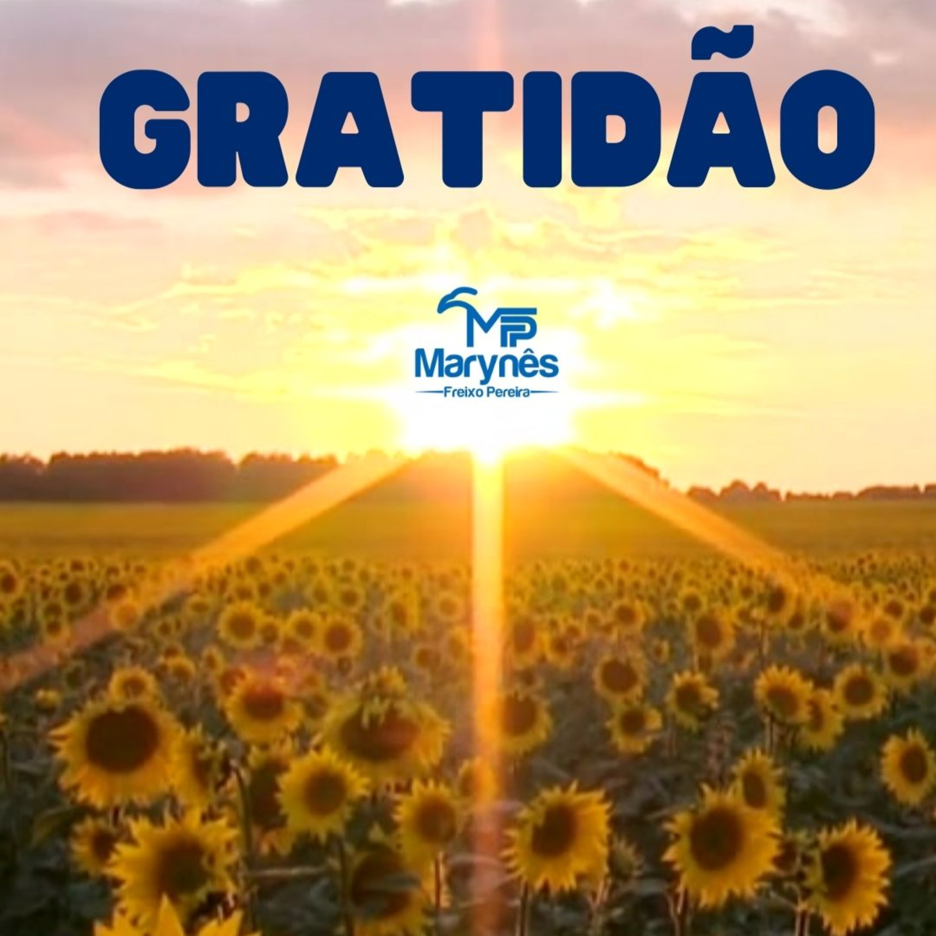 GRATIDÃO episode artwork