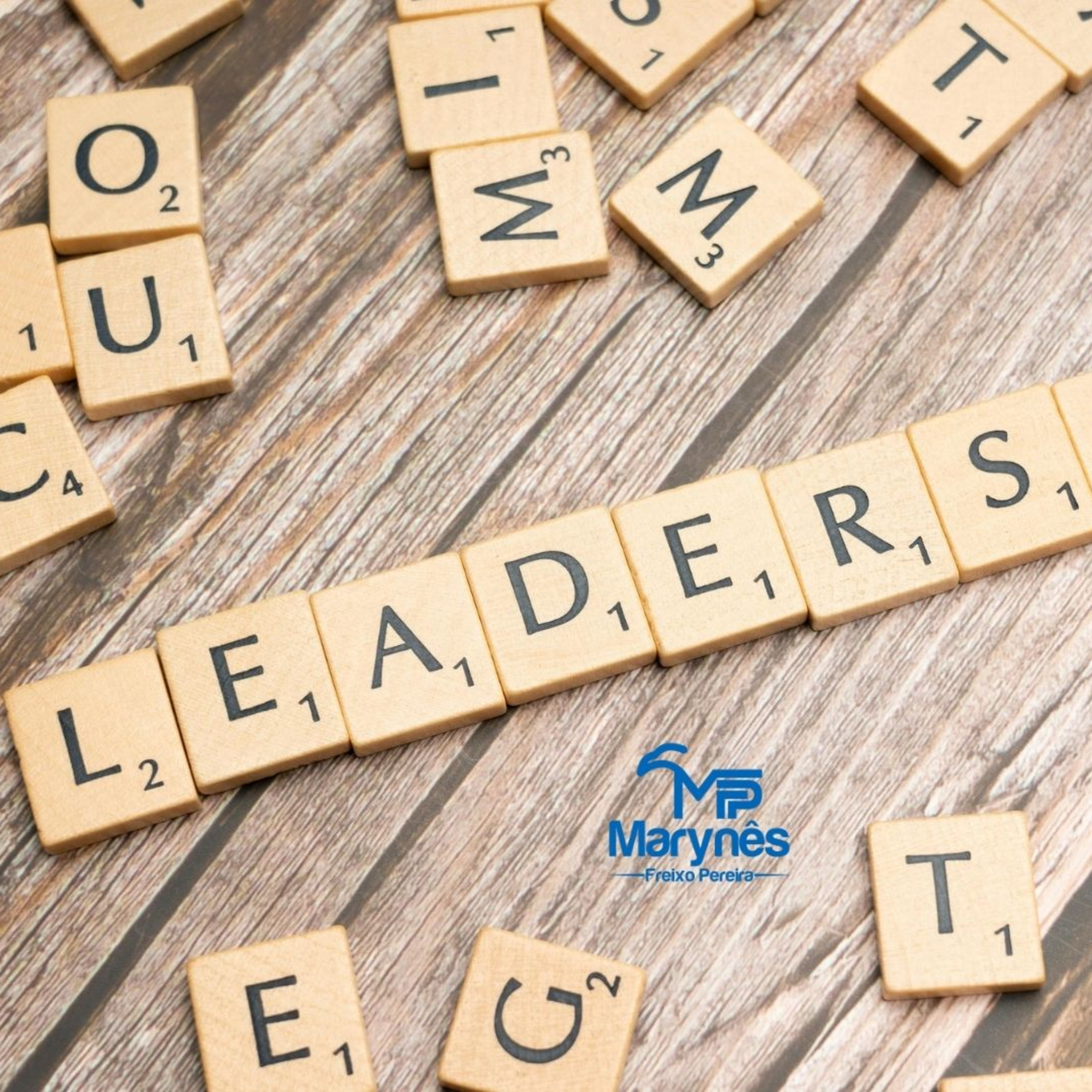 DICAS DE NEGÓCIOS E CARREIRA