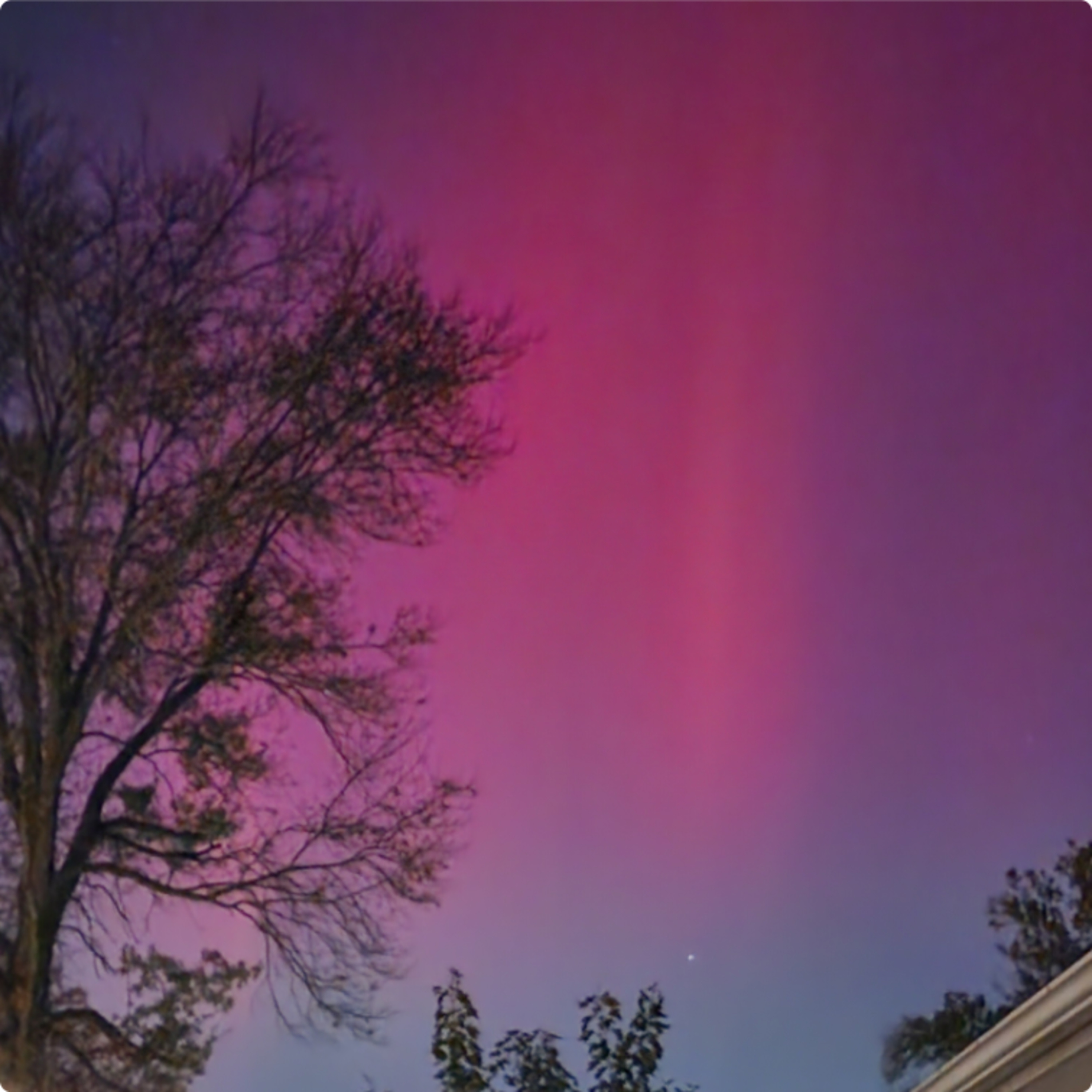 Pretty Wing Magic🦋