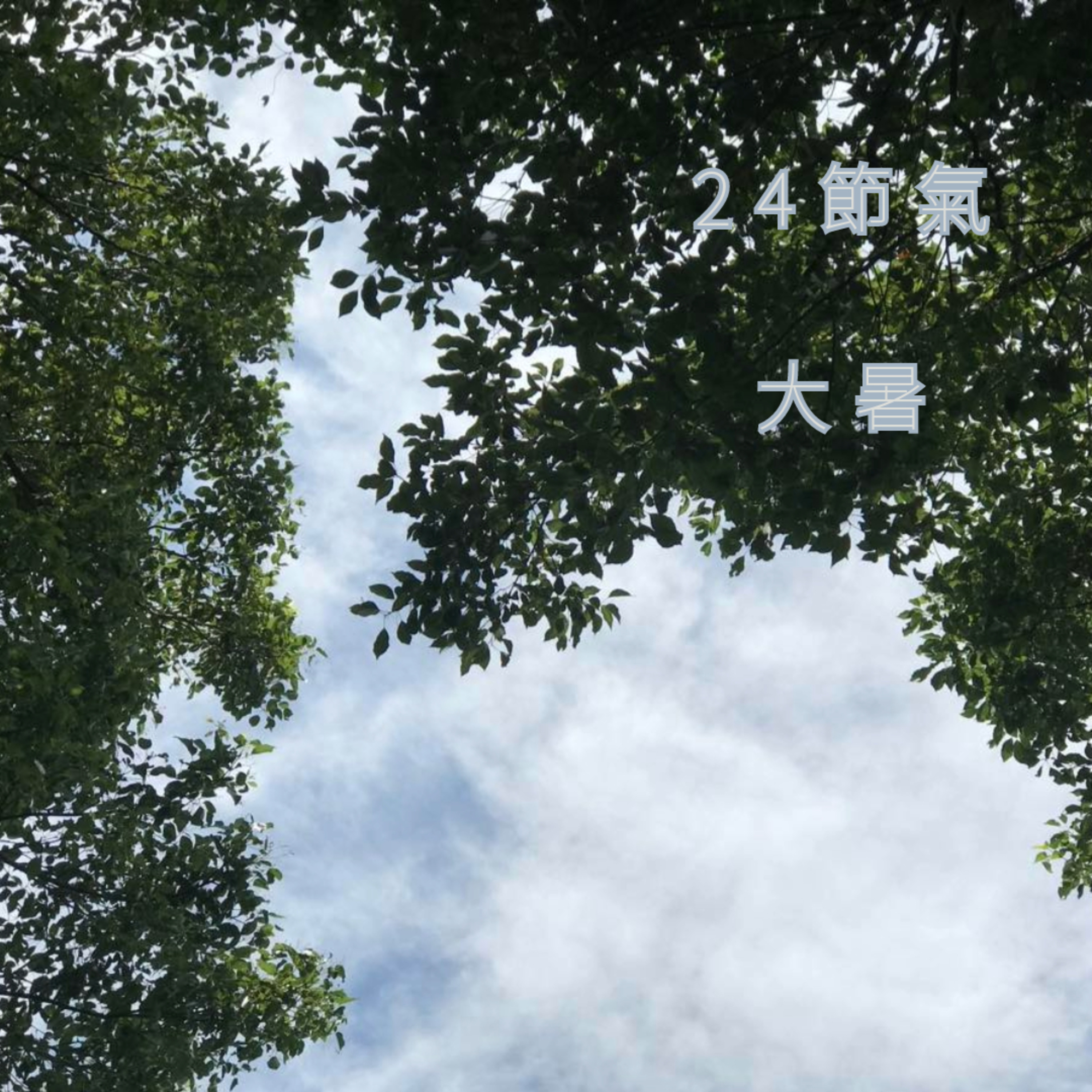 英國SP台灣 24節氣與純質精油 大暑