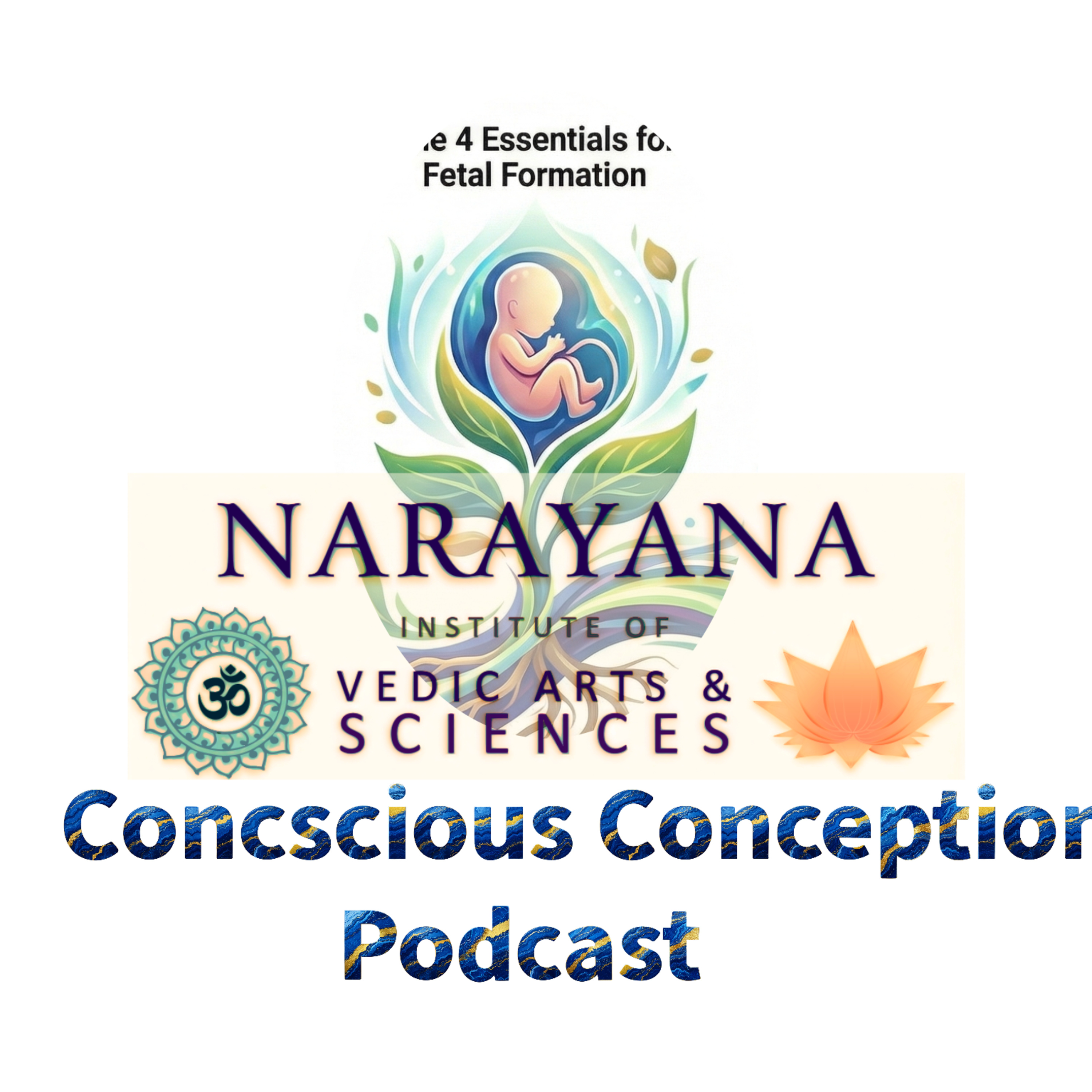 Conscious Conception episode artwork